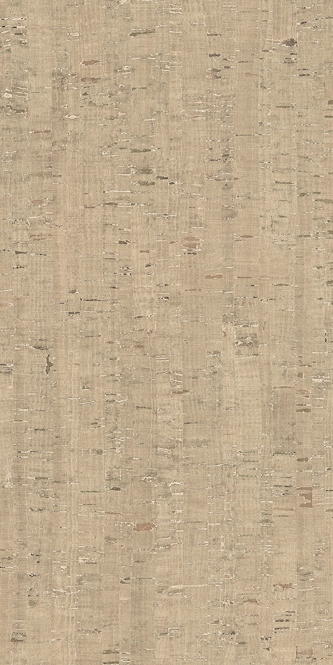 Modulo Conchiglia 60x120