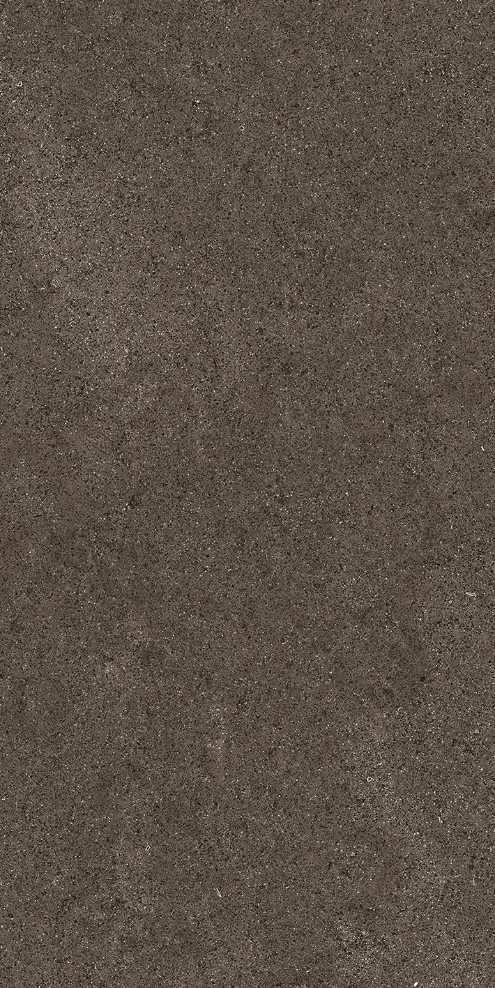 Brown Dust 60x120 6 мм