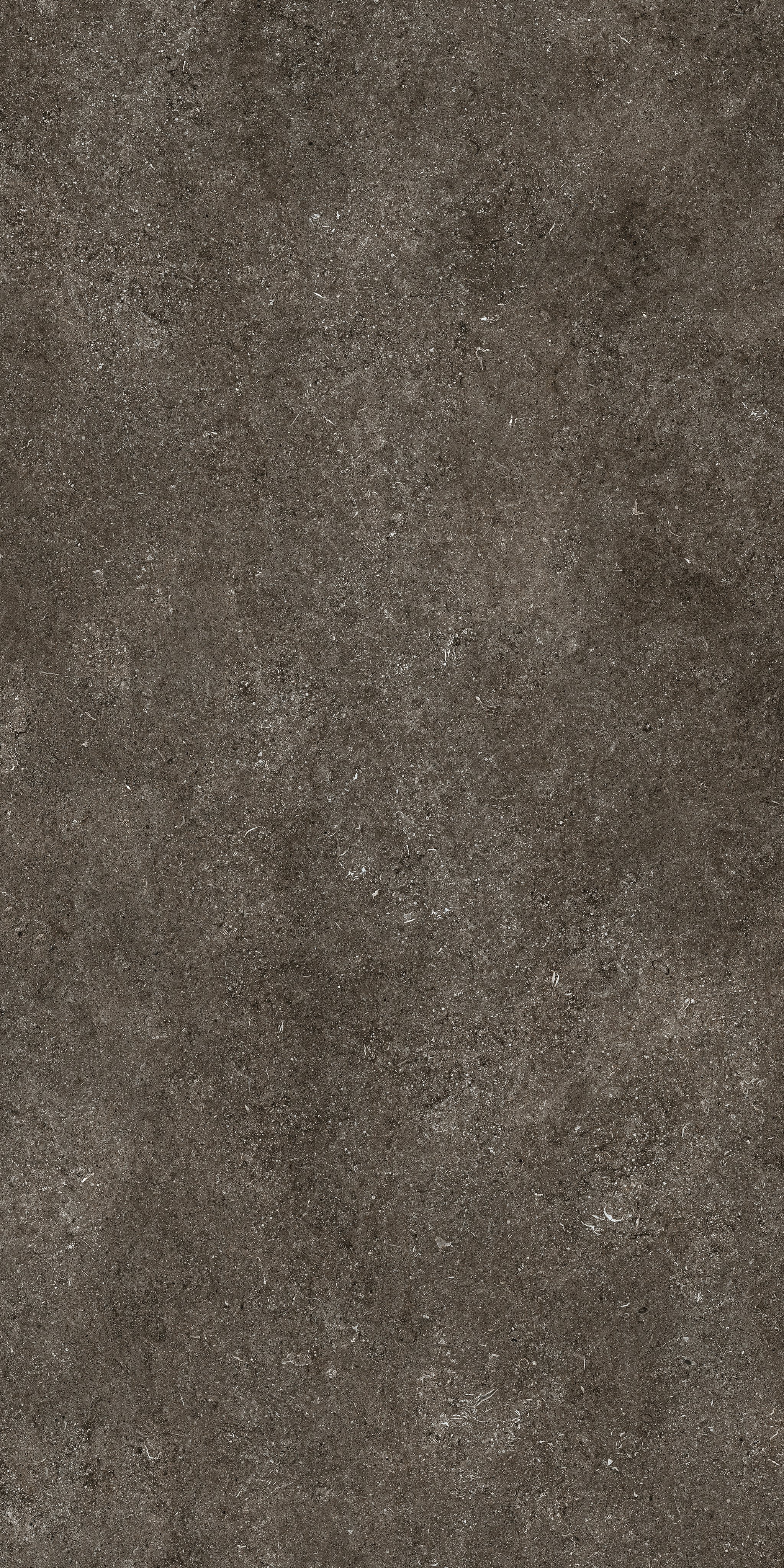 Brown Fossil 120x240