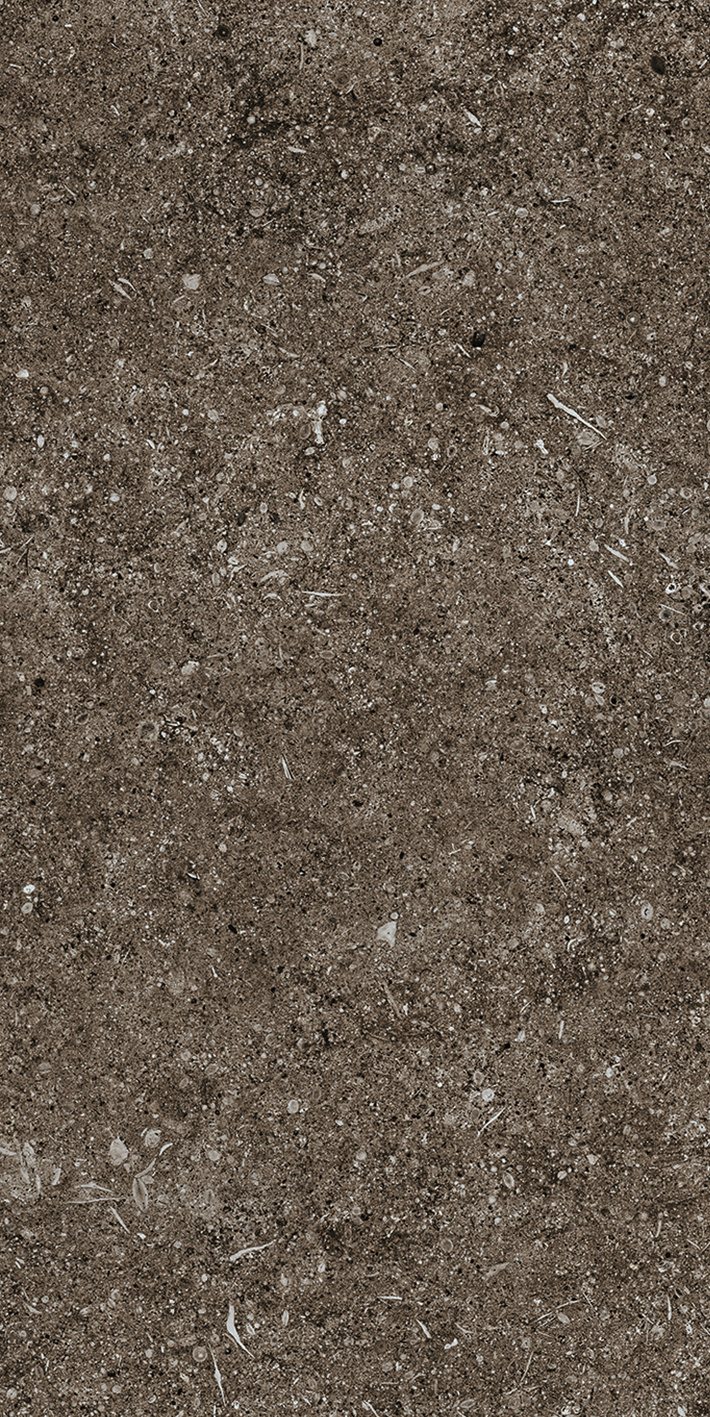 Керамогранит Brown Fossil 40x80 арт. 768354 40×80 см - коллекция Sensi, Florim