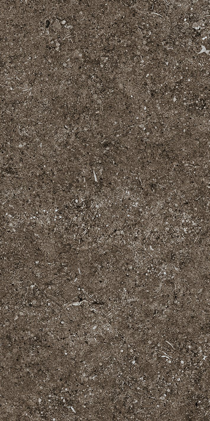 Керамогранит Brown Fossil 40x80 арт. 768353 40×80 см - коллекция Sensi, Florim
