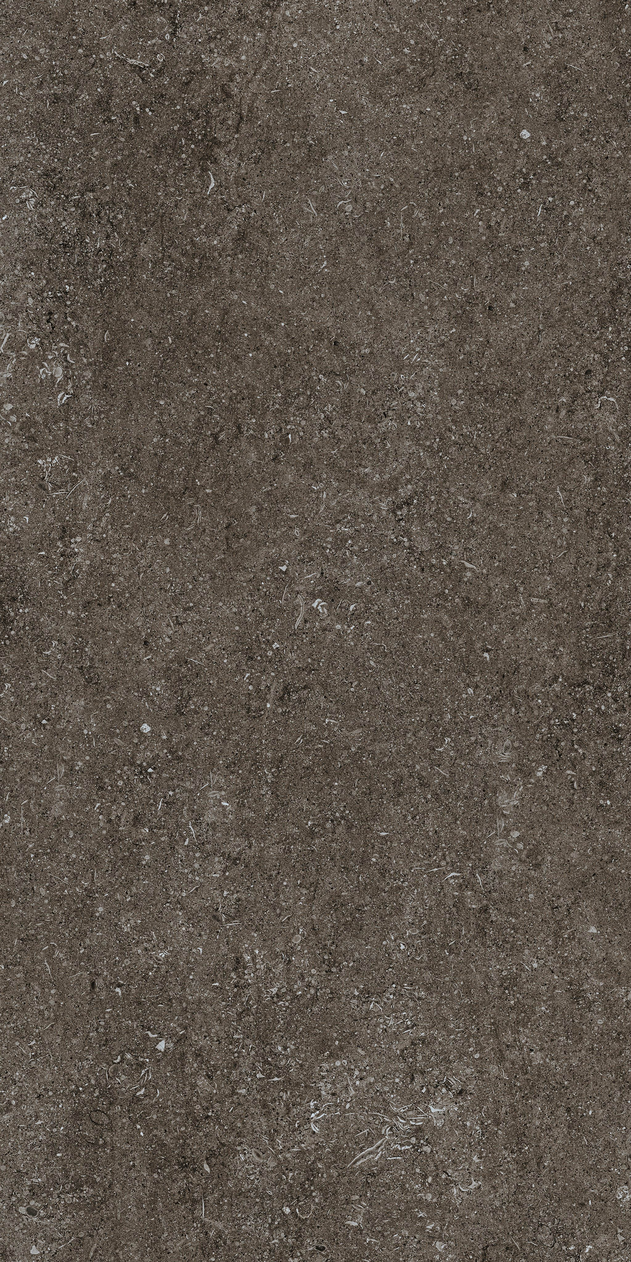 Brown Fossil 60x120 9 мм арт. 768328