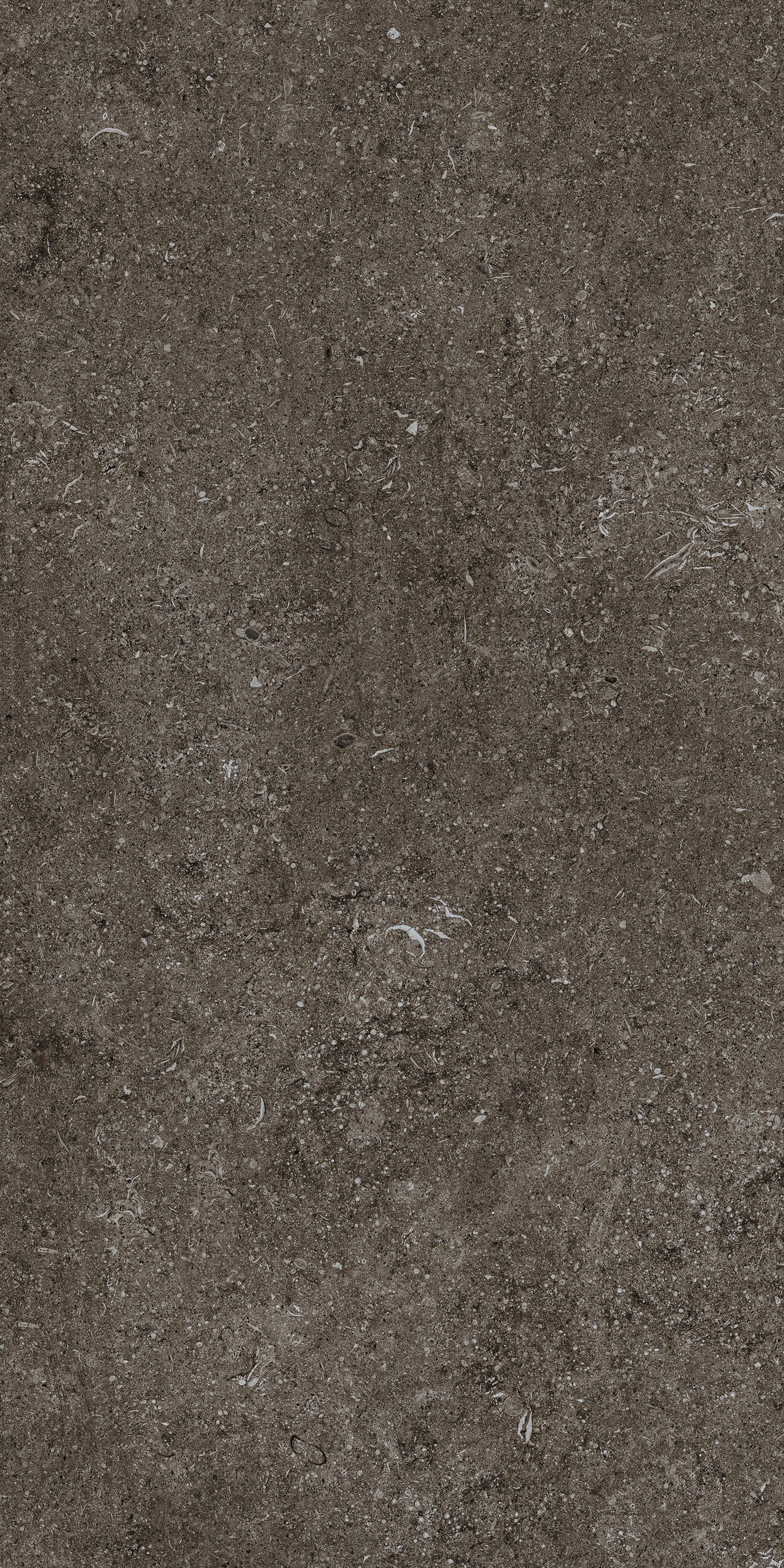 Brown Fossil 60x120 9 мм арт. 768327