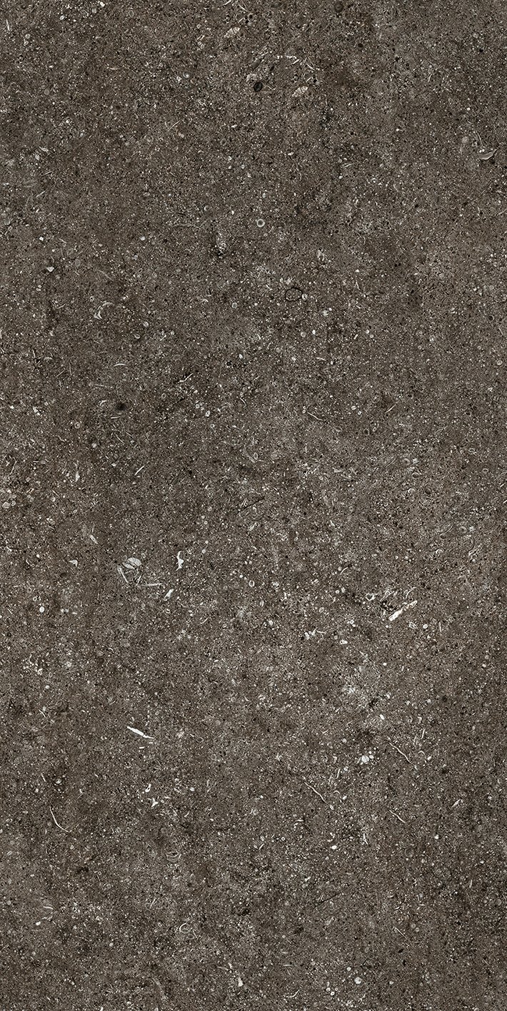 Brown Fossil 60x120 6 мм арт. 768625