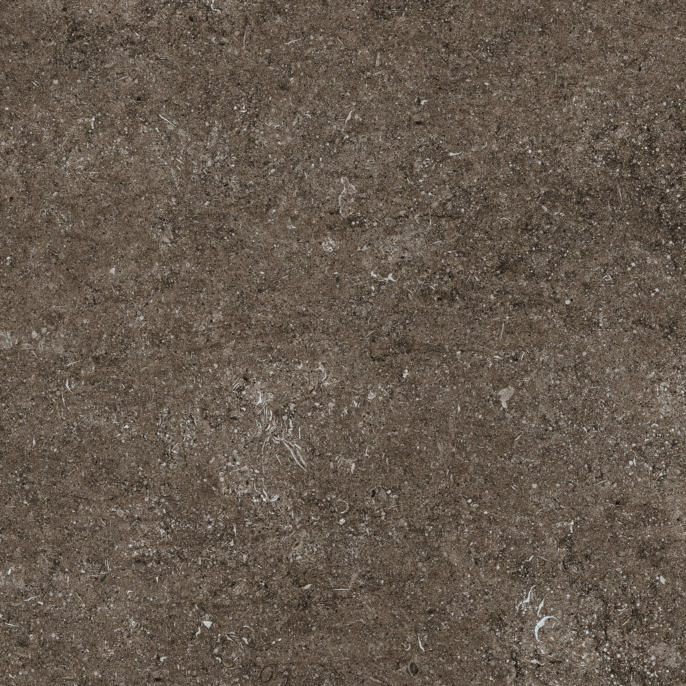 Brown Fossil 80x80 арт. 768380