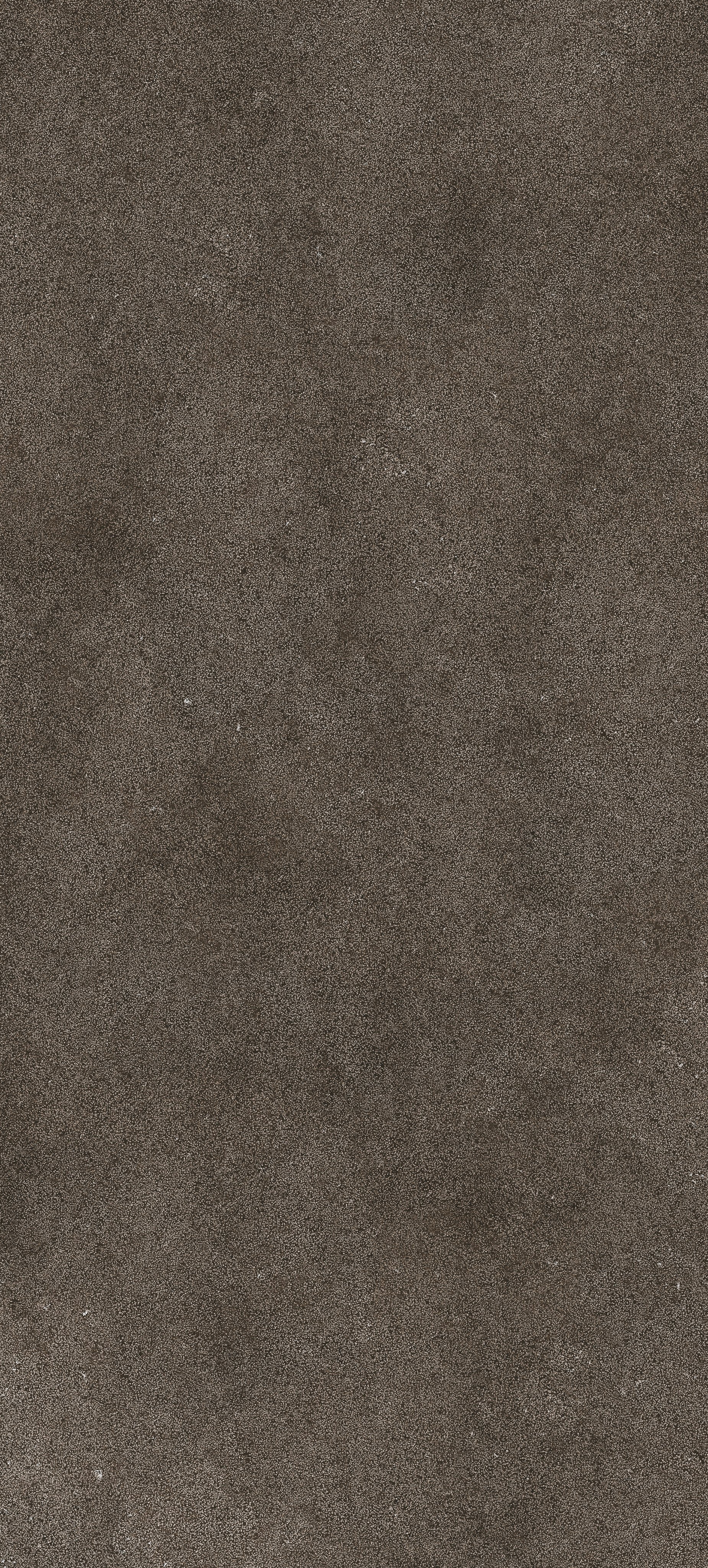 Brown Lithos 120x280