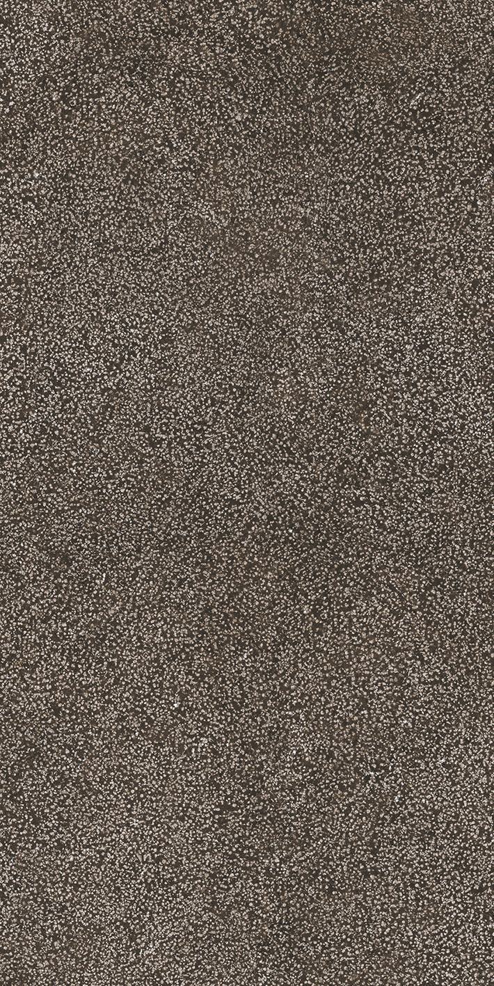 Brown Lithos 60x120 6 мм