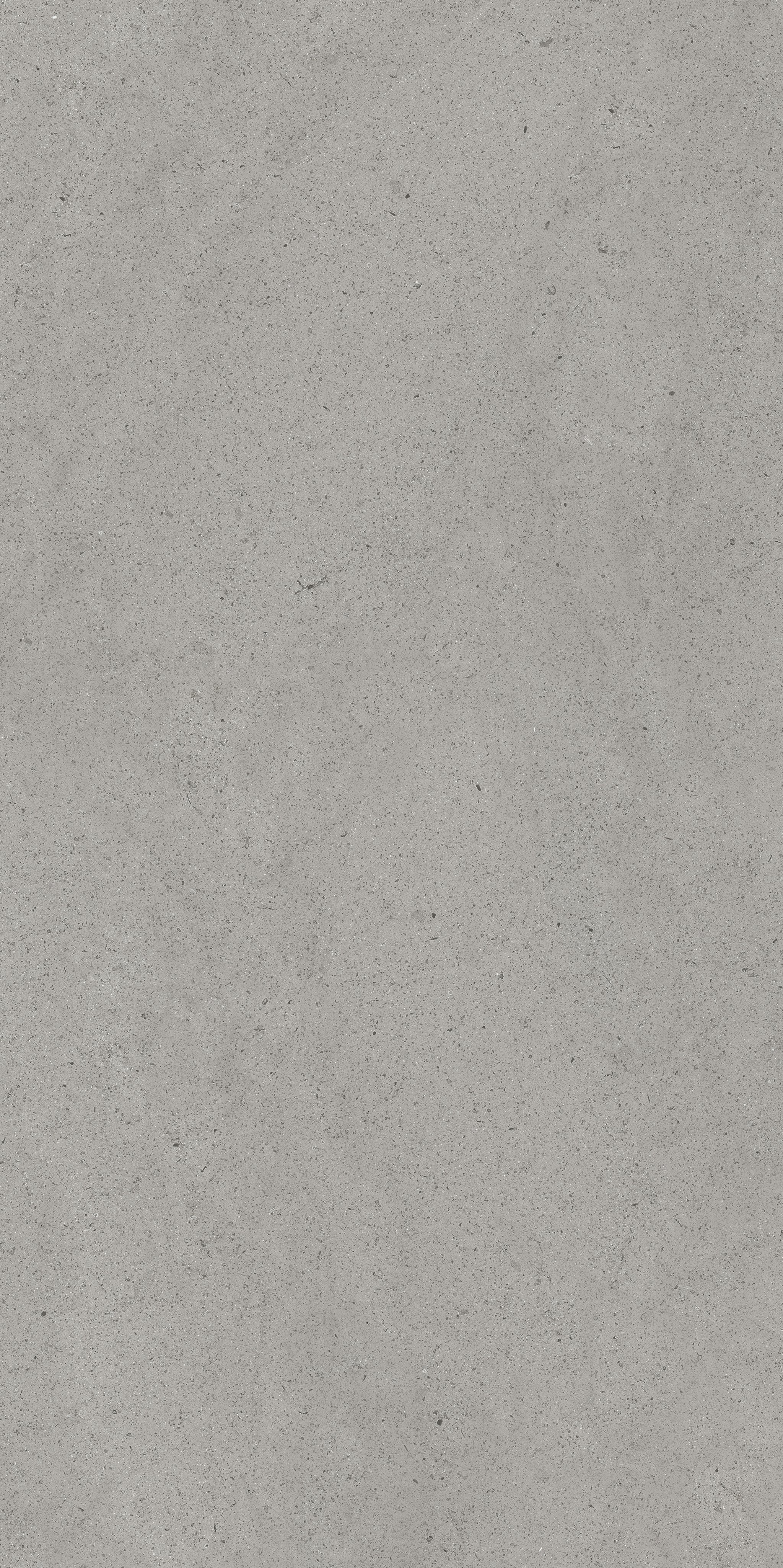 Grey Dust 60x120 9 мм