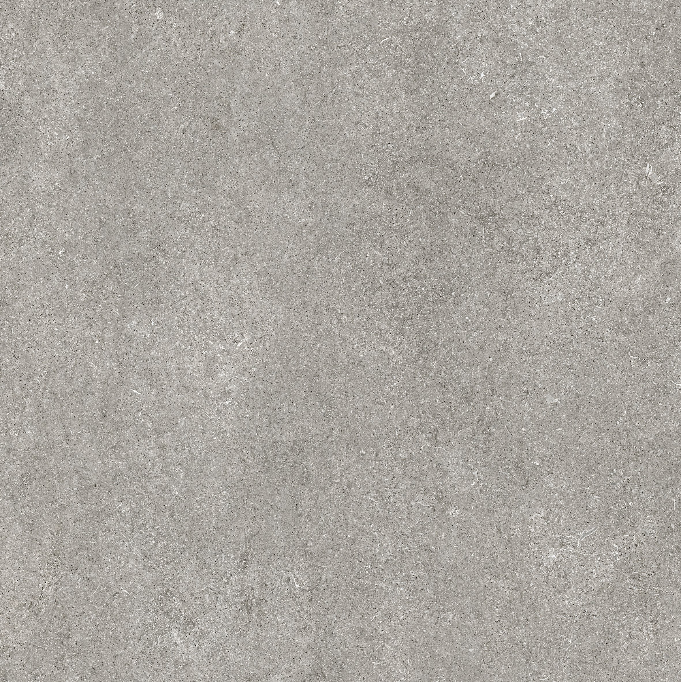 Grey Fossil 120x120