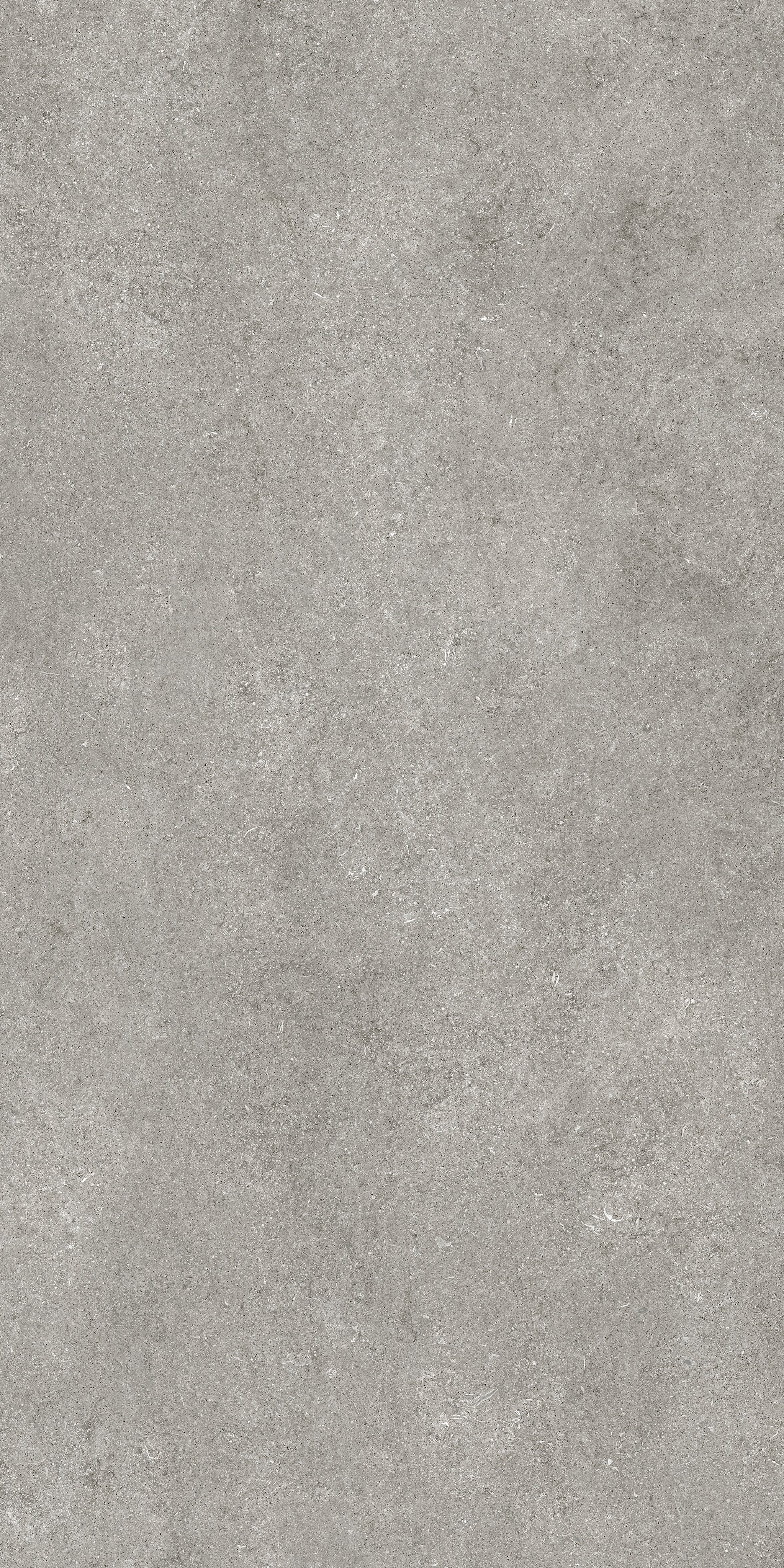 Grey Fossil 120x240