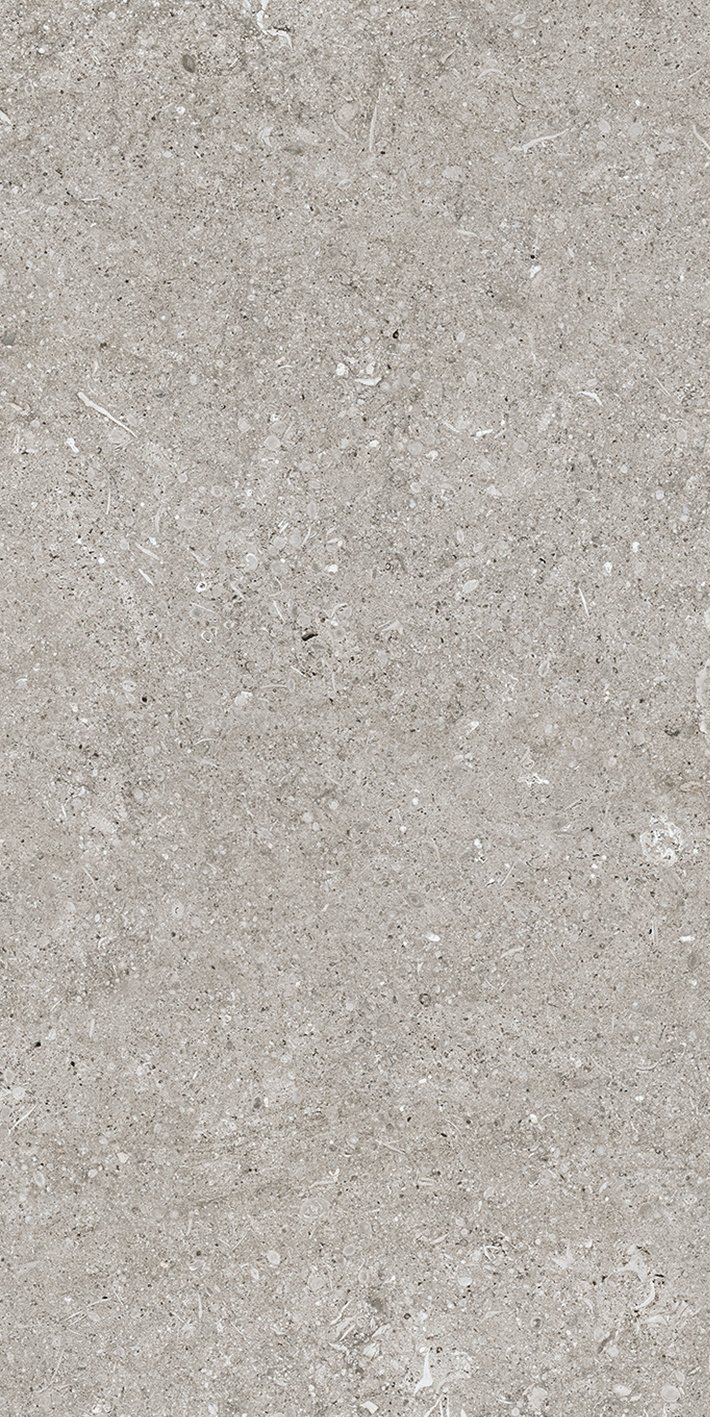 Керамогранит Grey Fossil 40x80 арт. 768342 40×80 см - коллекция Sensi, Florim