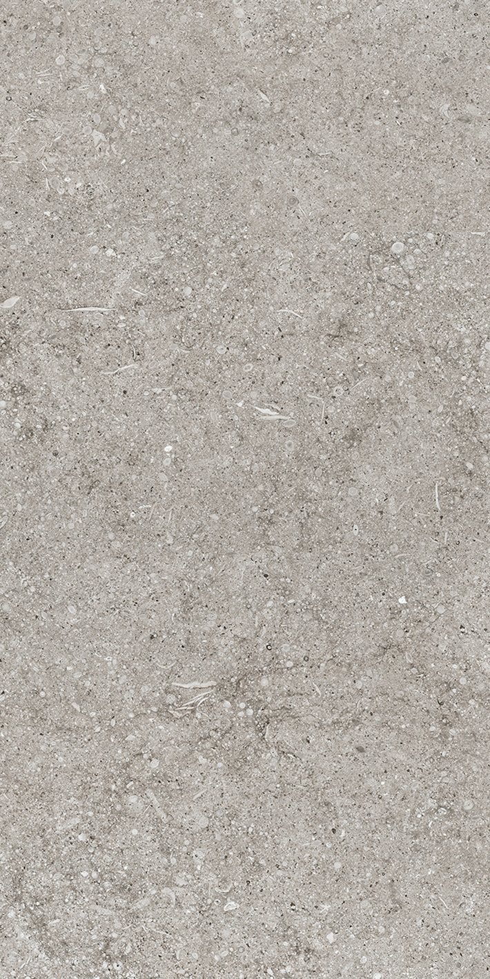 Керамогранит Grey Fossil 40x80 арт. 768343 40×80 см - коллекция Sensi, Florim