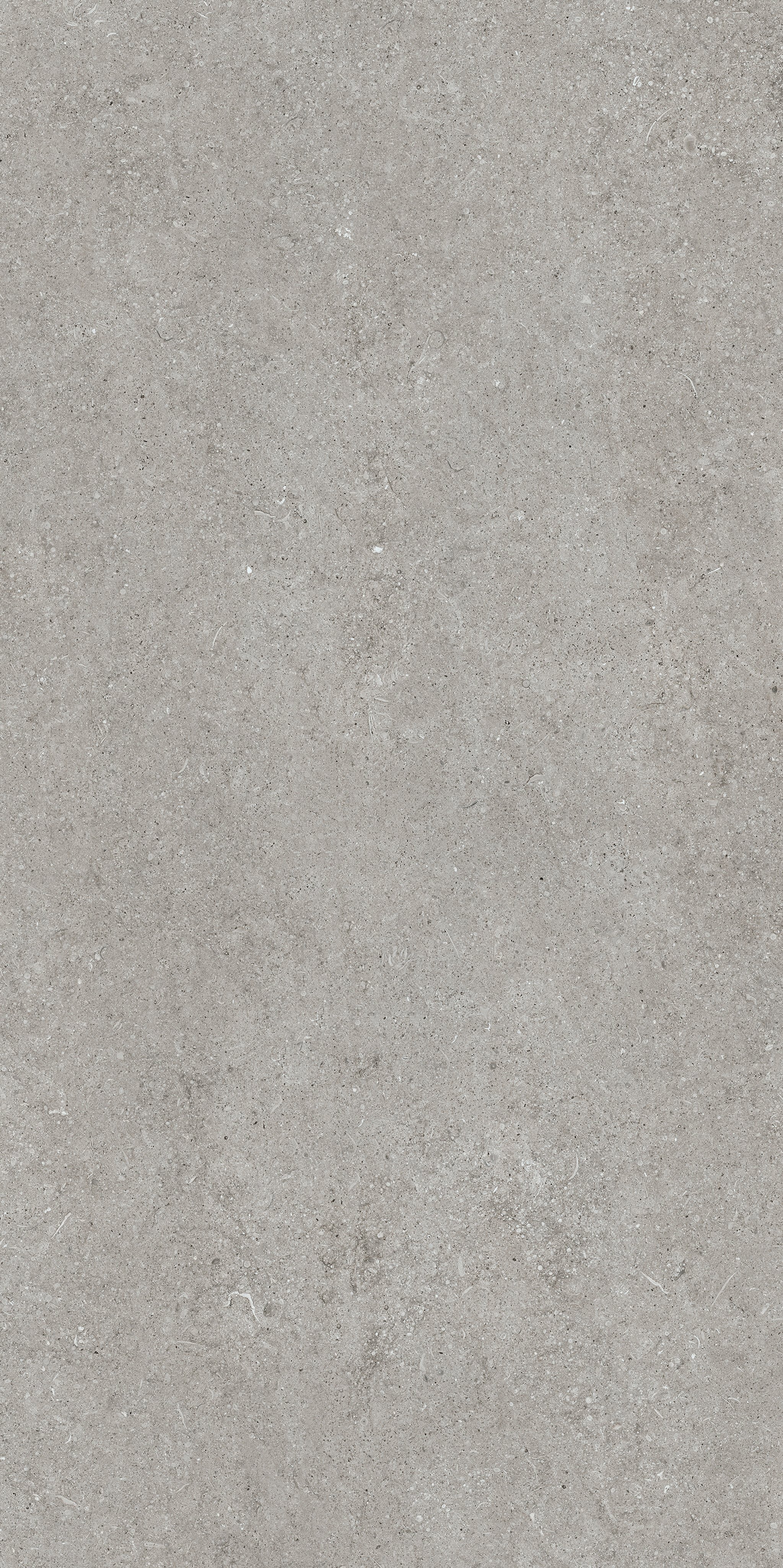 Grey Fossil 60x120 9 мм арт. 768317