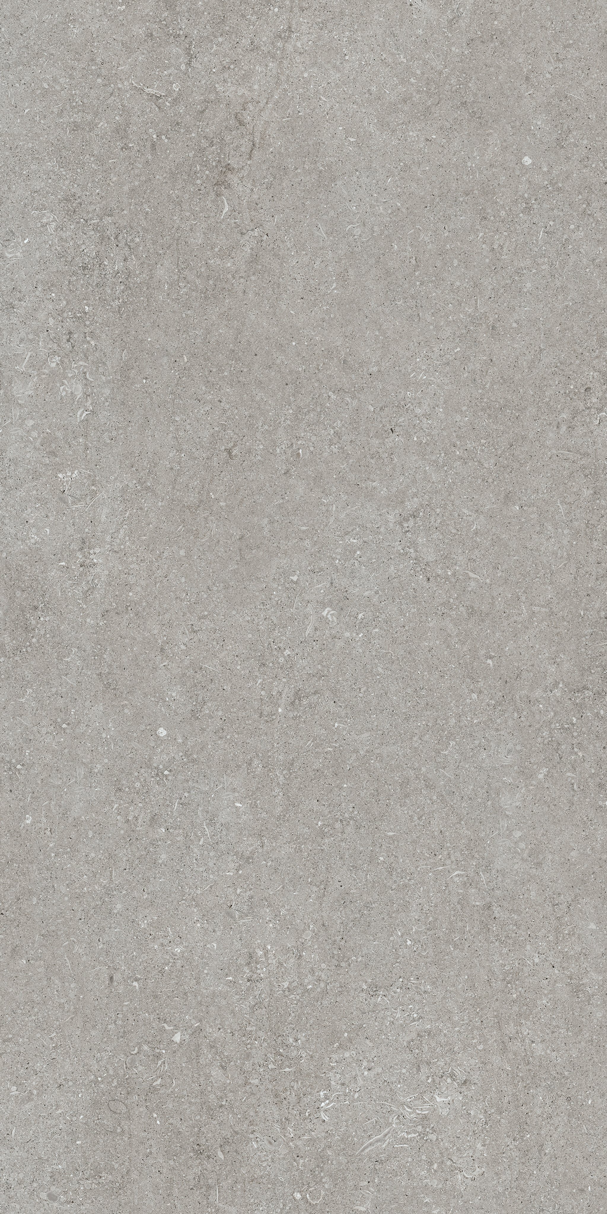 Grey Fossil 60x120 9 мм арт. 768316