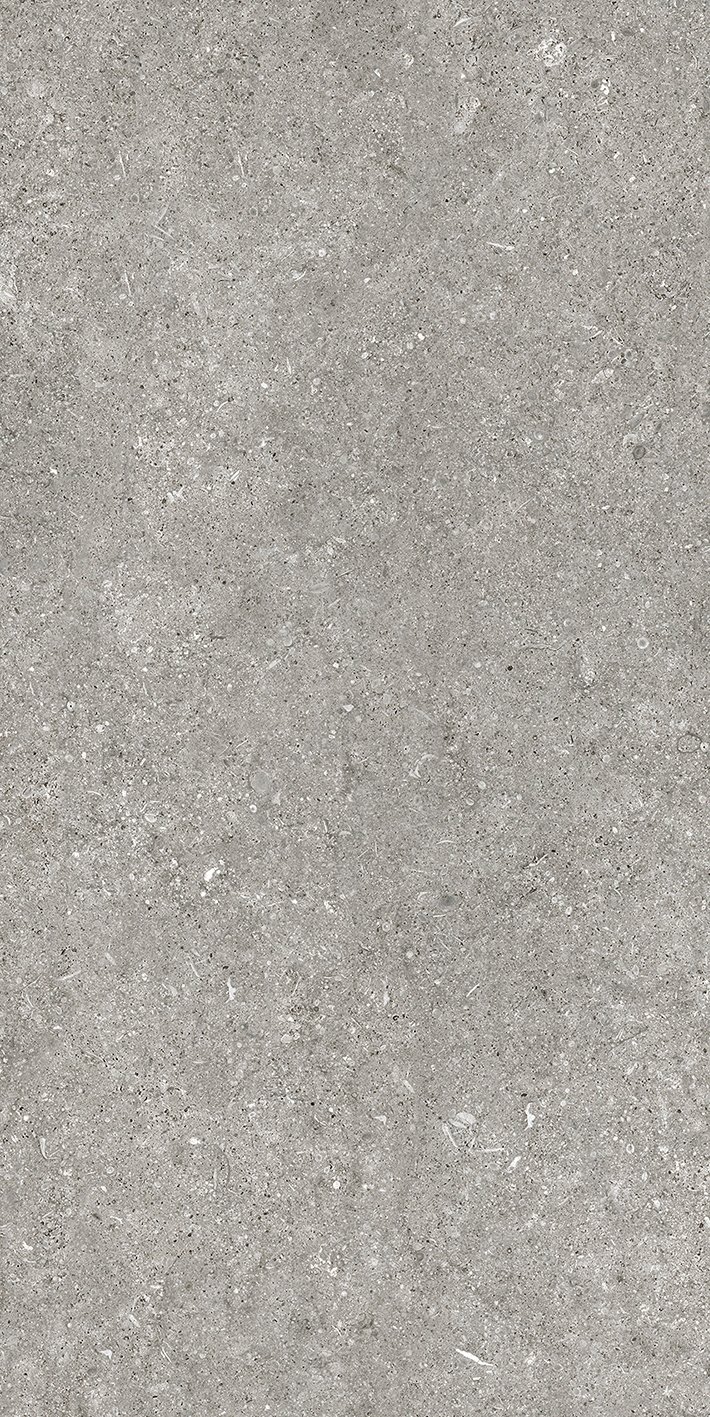 Grey Fossil 60x120 6 мм арт. 768621