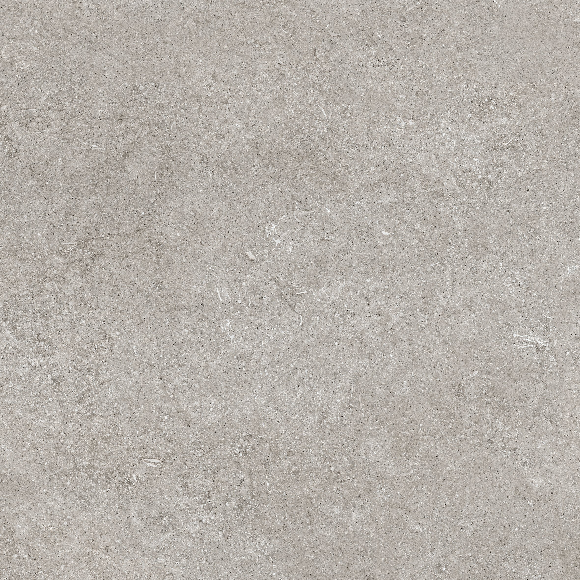Grey Fossil 80x80 арт. 768370