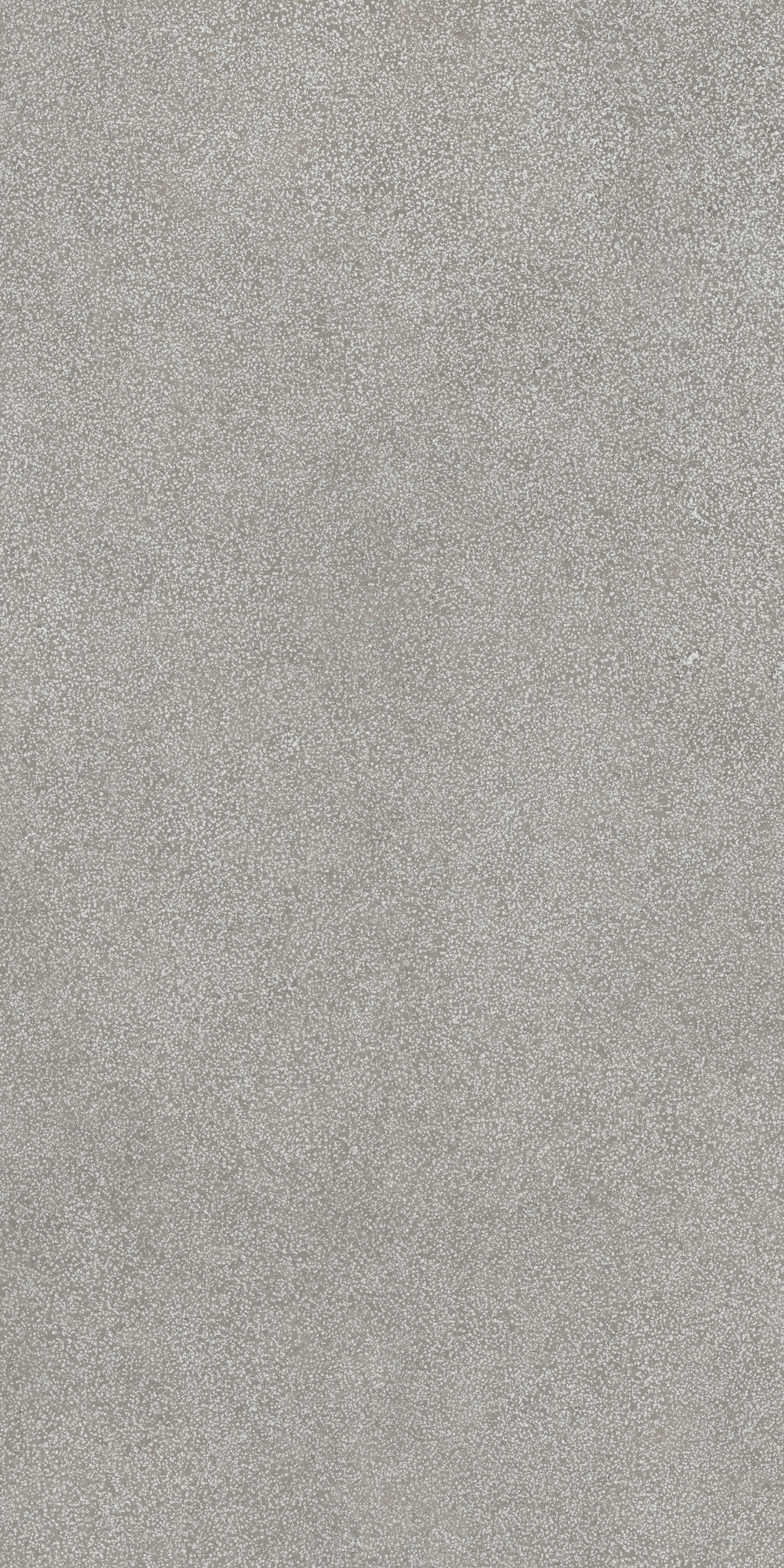 Grey Lithos 60x120 9 мм