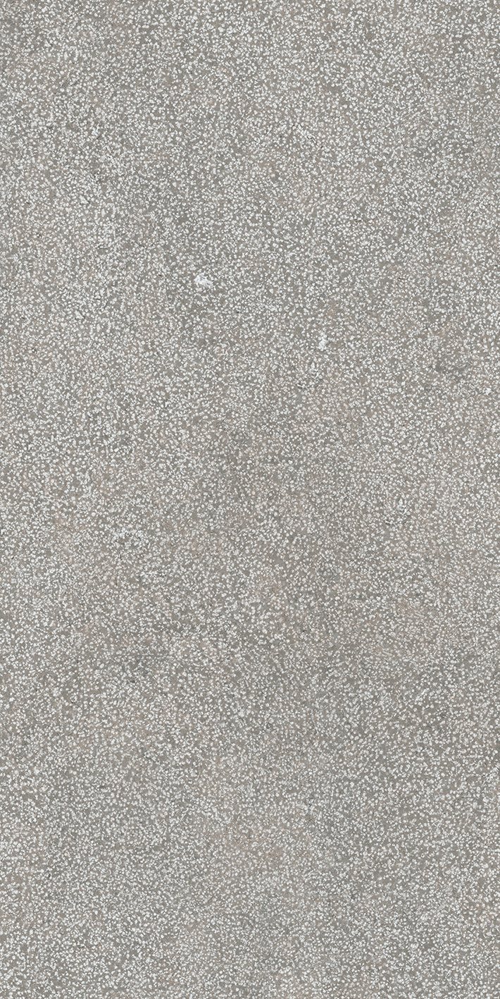 Grey Lithos 60x120 6 мм