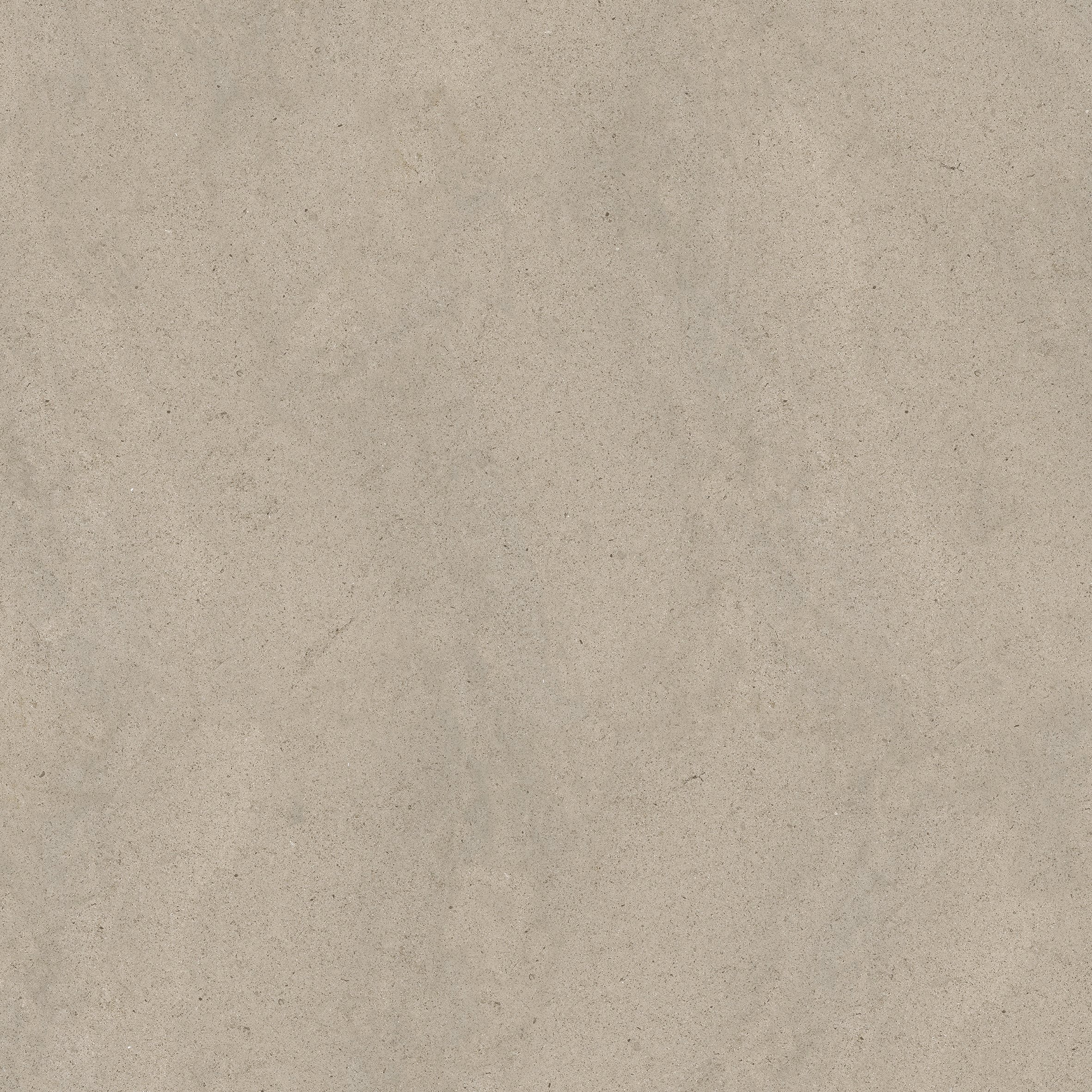 Ivory Dust 120x120