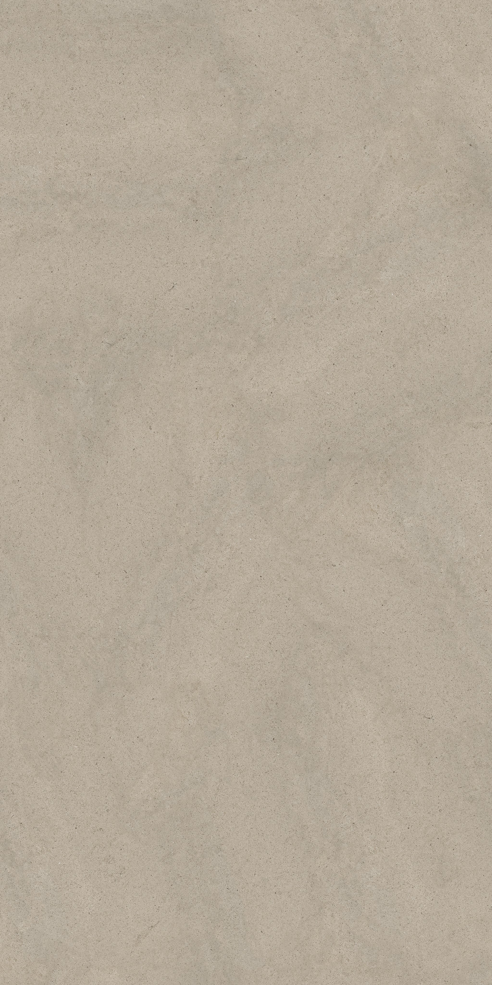 Ivory Dust 120x240
