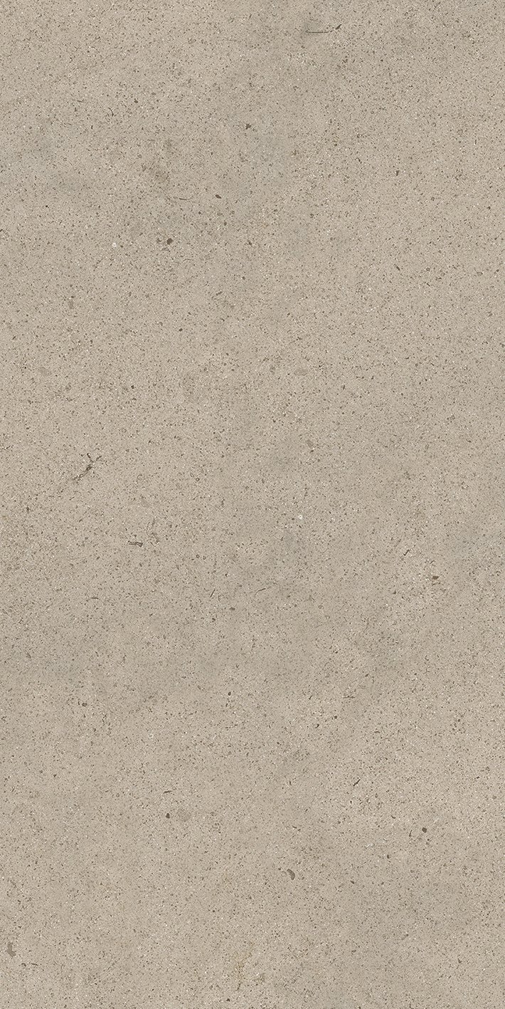 Ivory Dust 60x120 6 мм