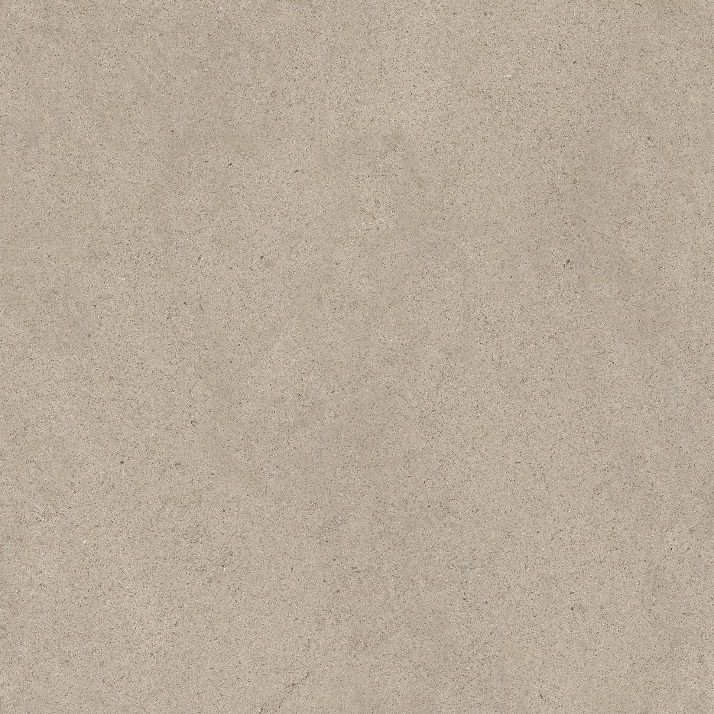 Ivory Dust 80x80