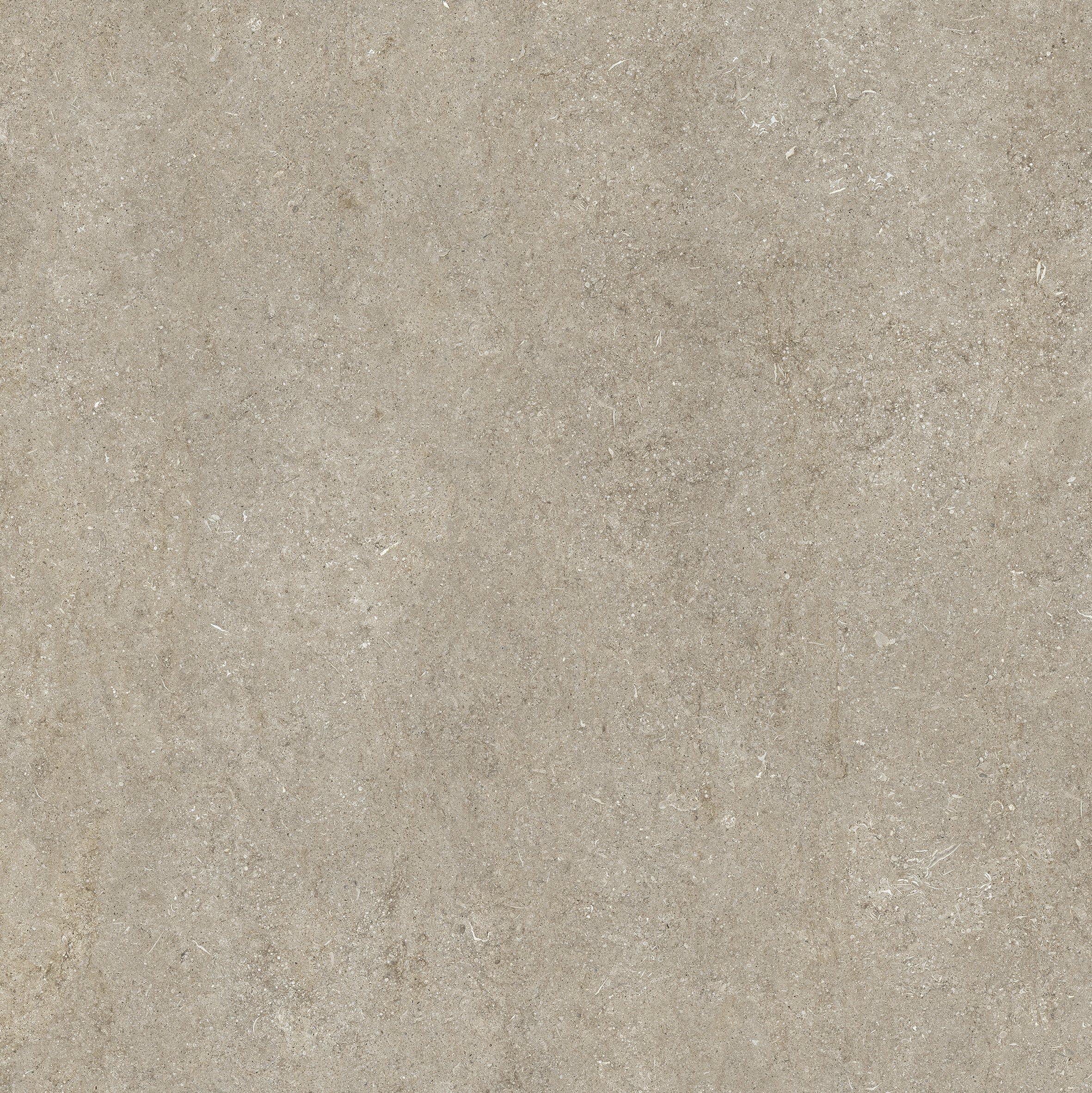 Ivory Fossil 120x120