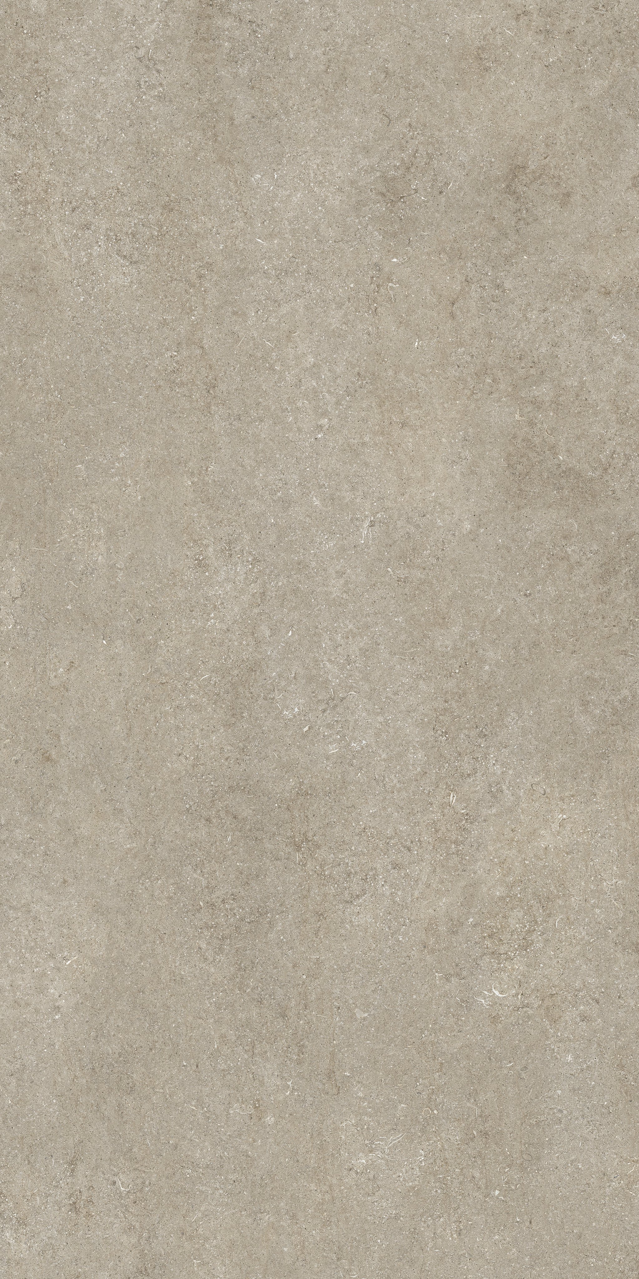 Ivory Fossil 120x240