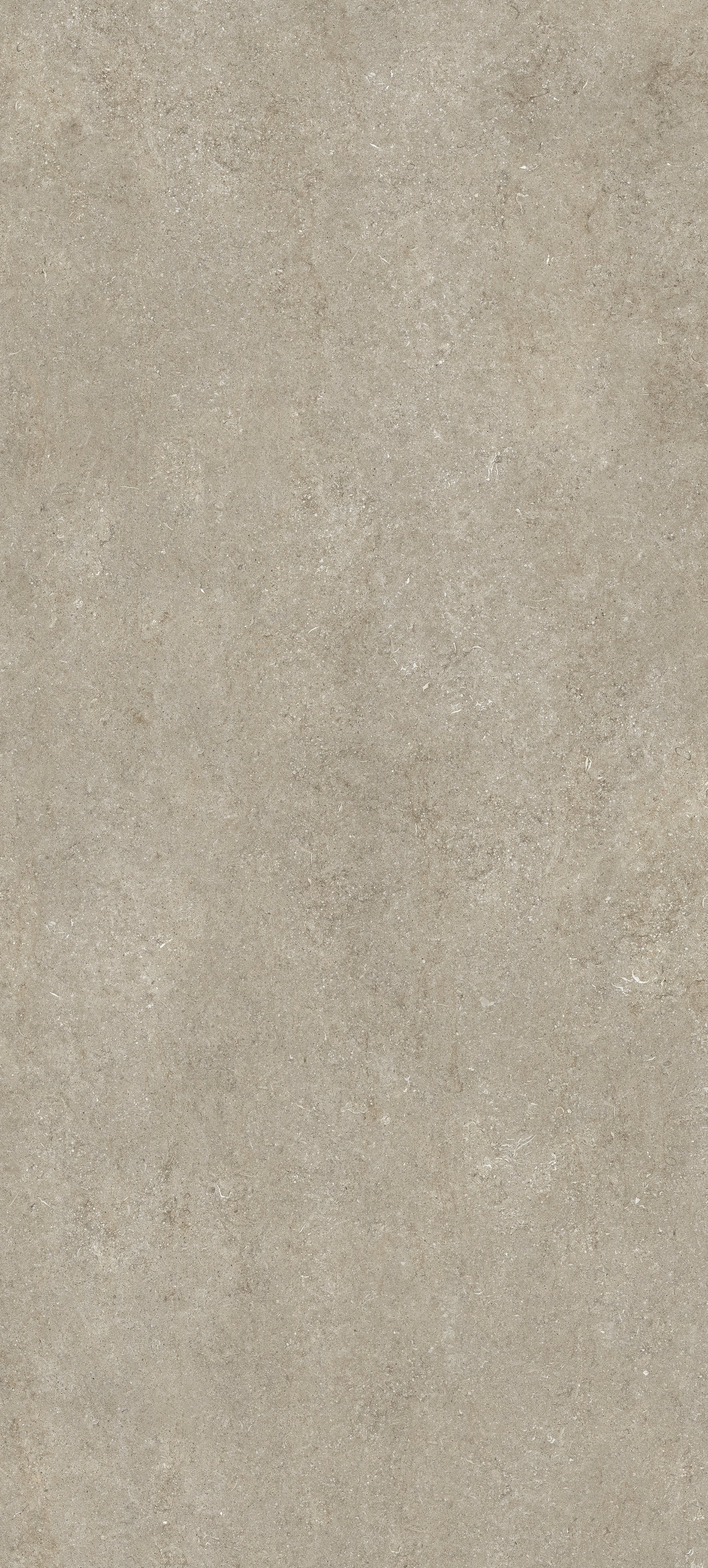Ivory Fossil 120x280