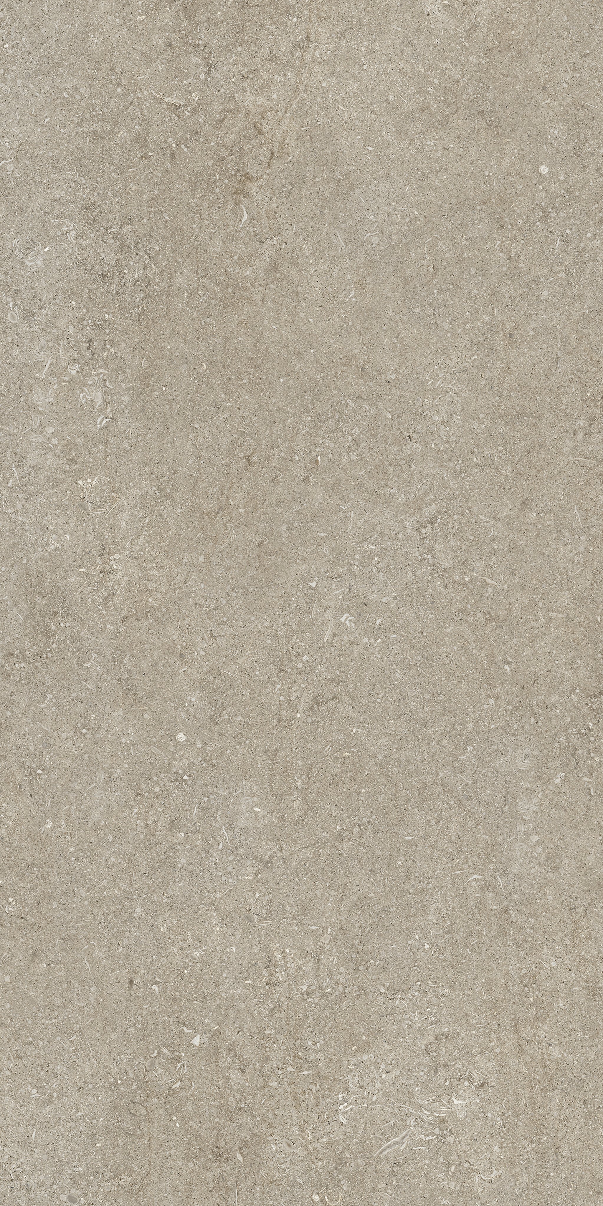 Ivory Fossil 60x120 9 мм арт. 768299