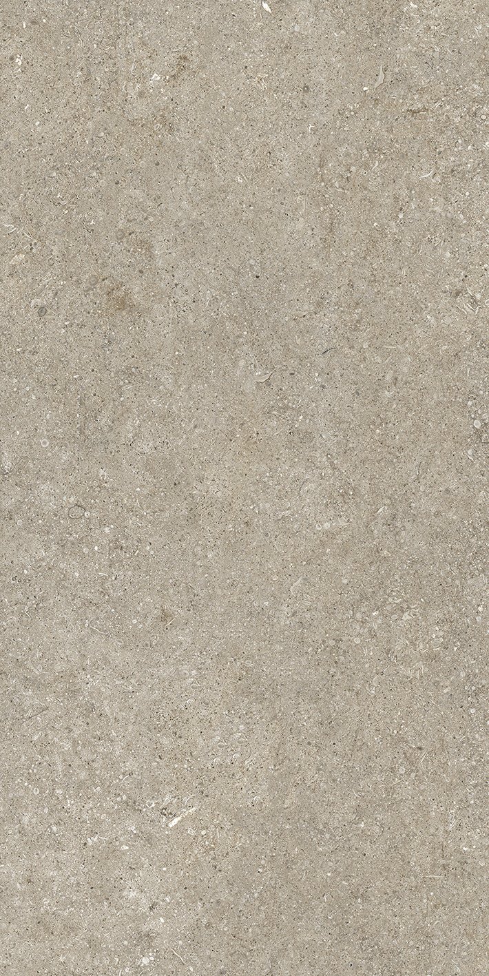 Ivory Fossil 60x120 6 мм арт. 768619