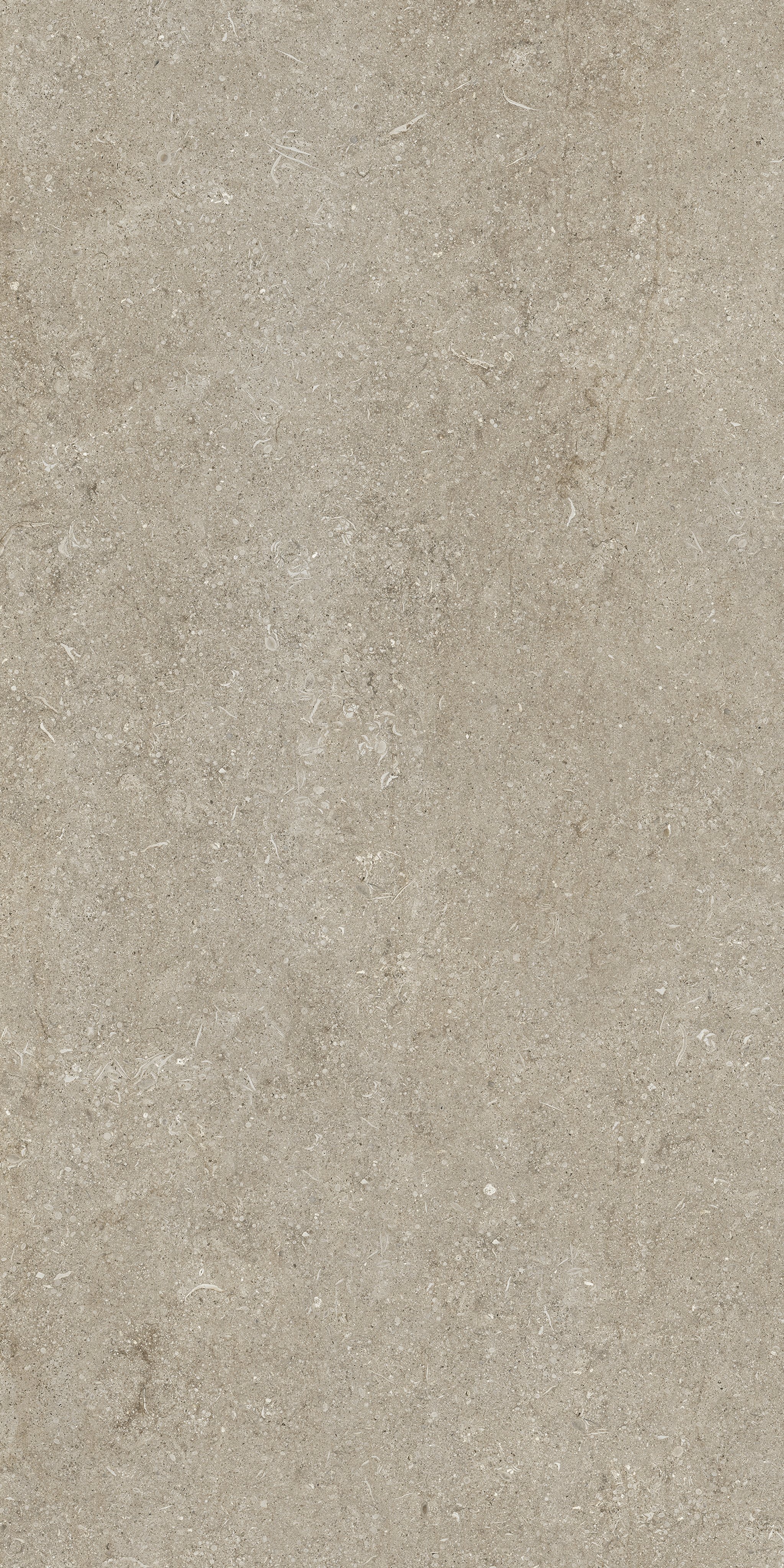 Ivory Fossil 60x120 9 мм арт. 768298