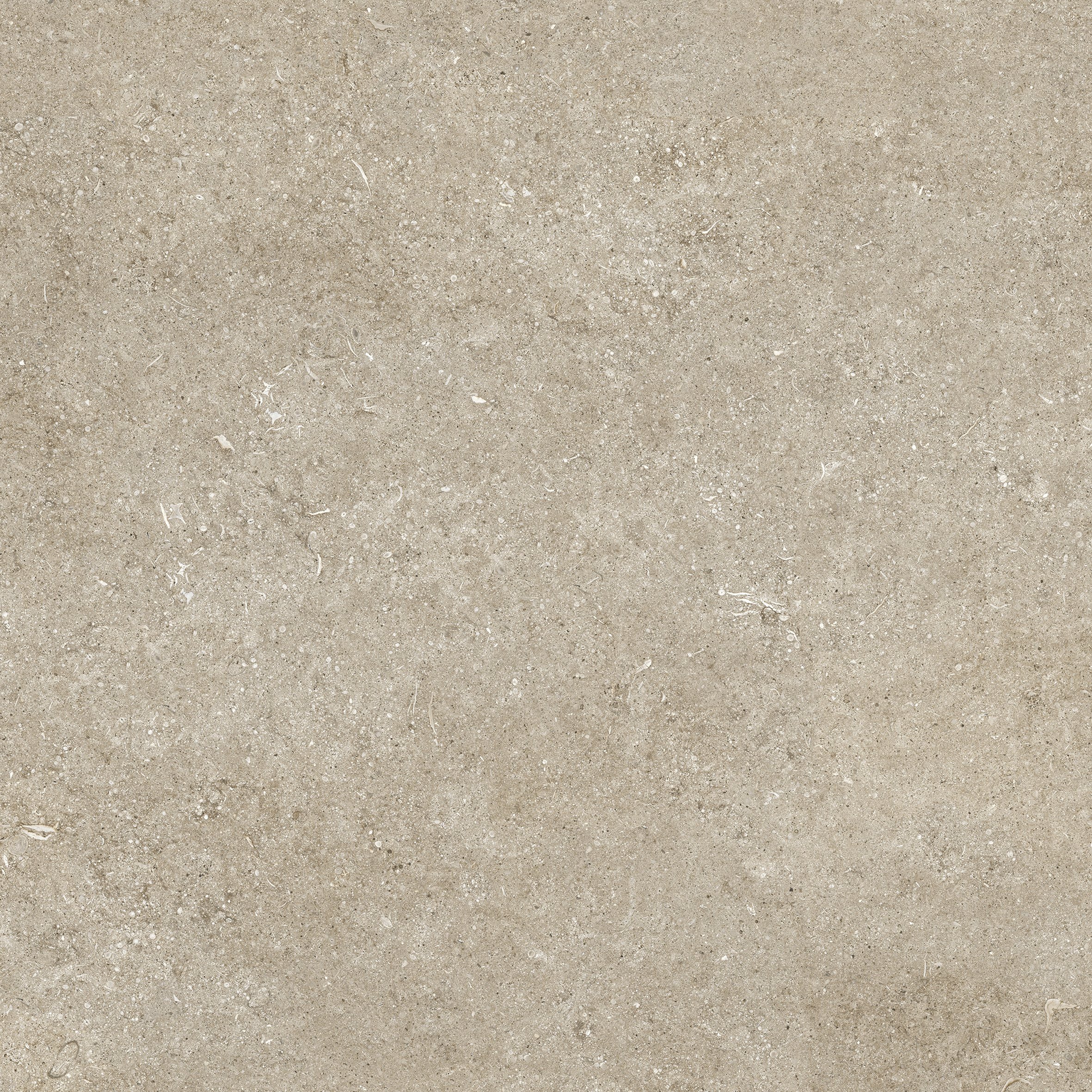 Ivory Fossil 80x80 арт. 768364