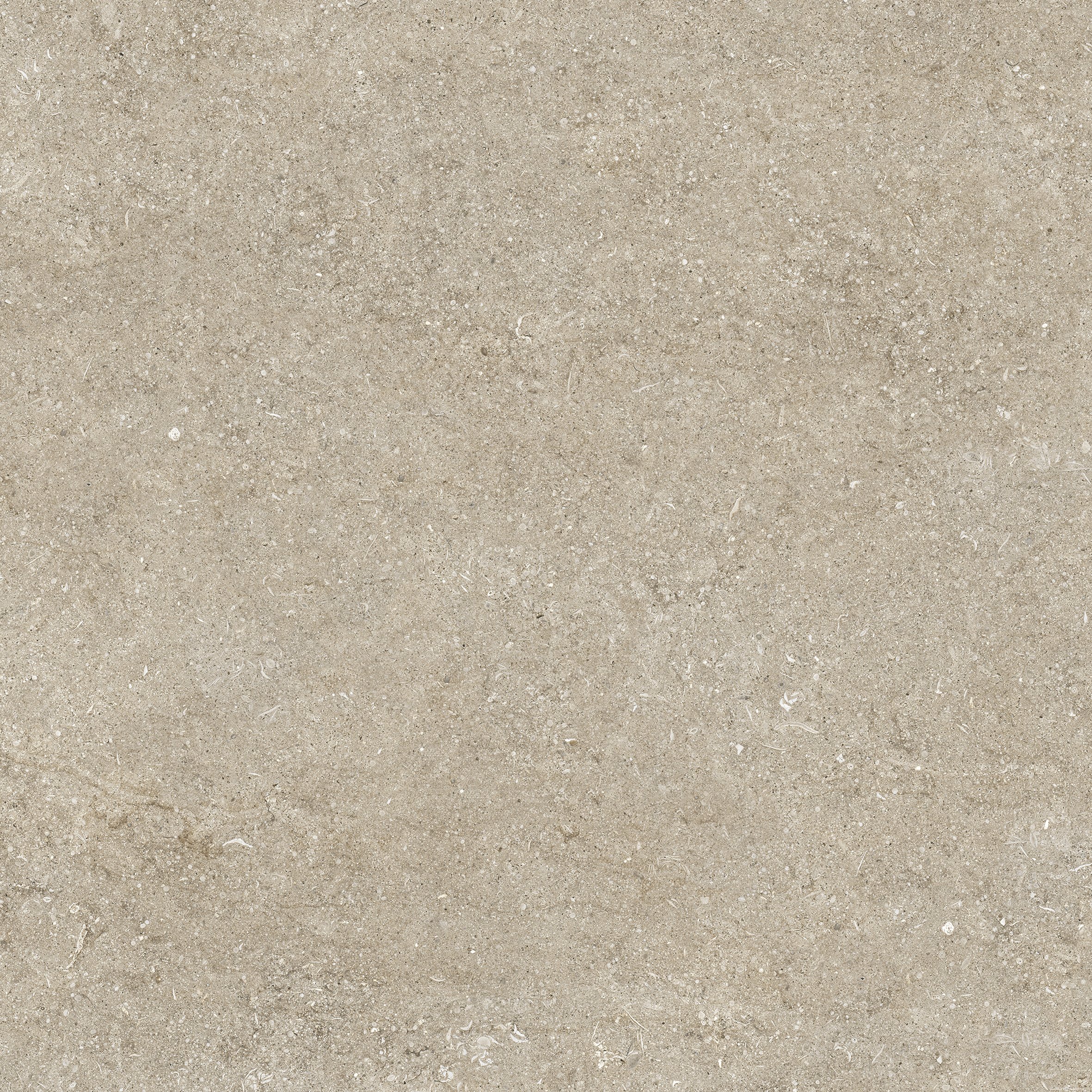 Ivory Fossil 80x80 арт. 768365