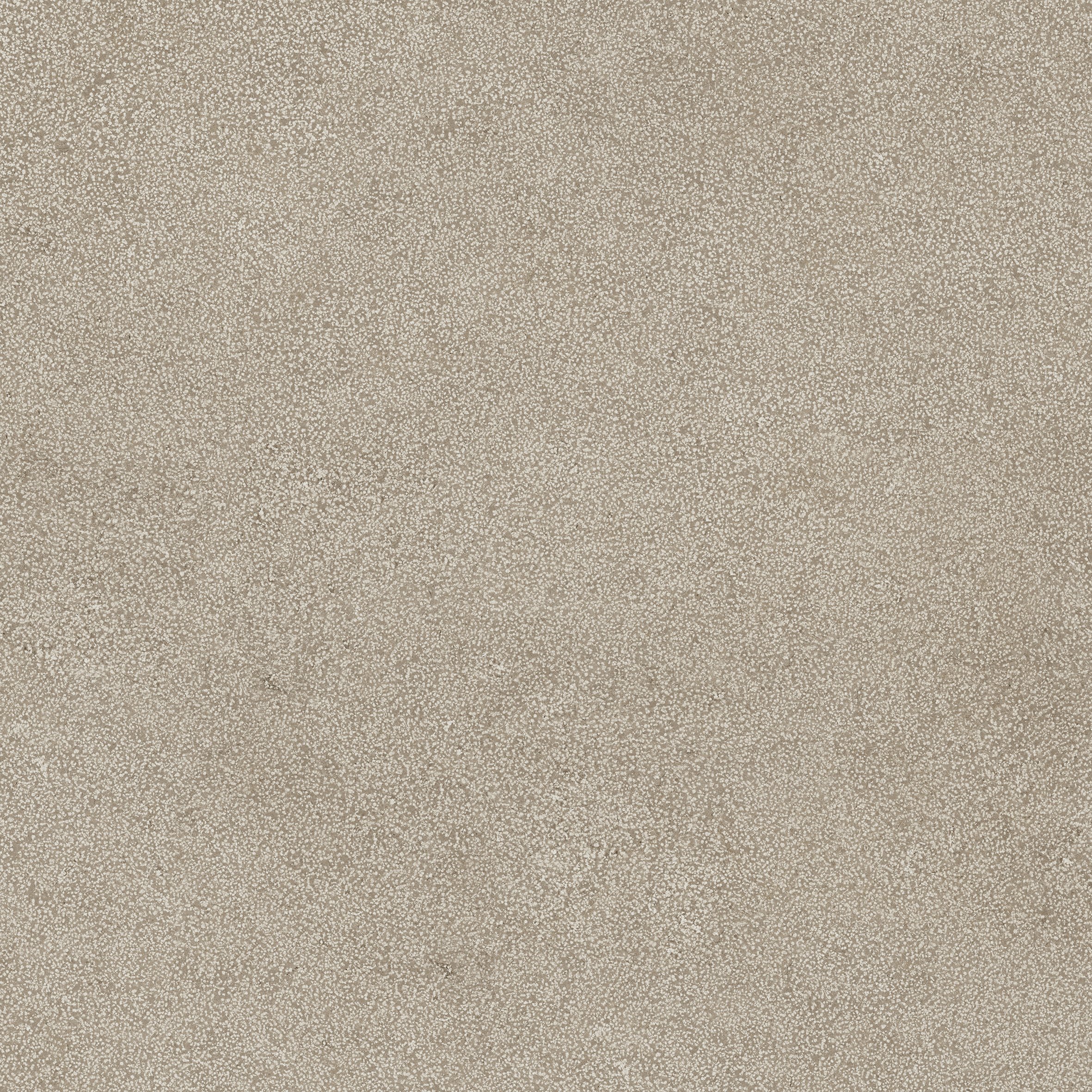 Ivory Lithos 80x80