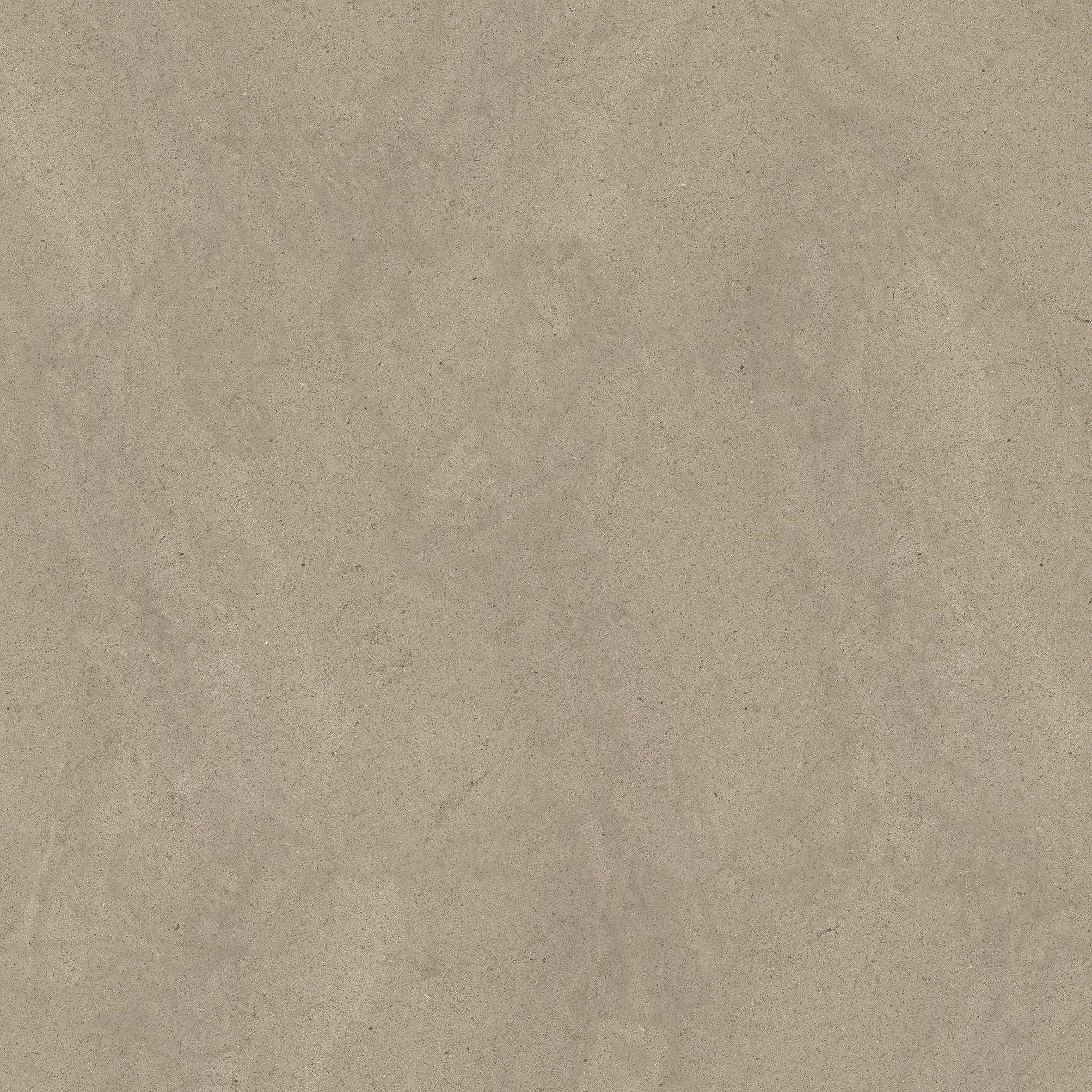 Taupe Dust 120x120