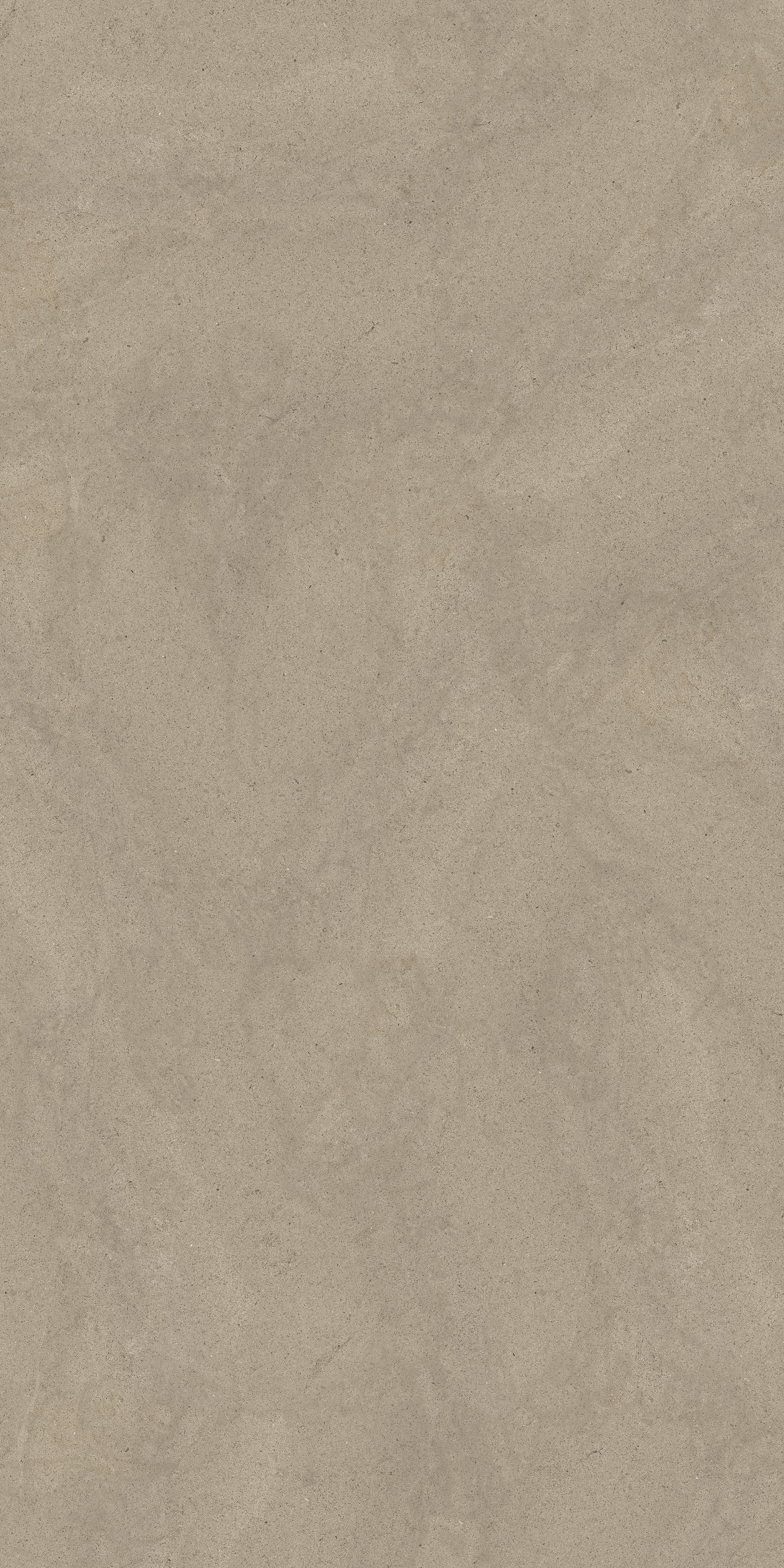 Taupe Dust 120x240