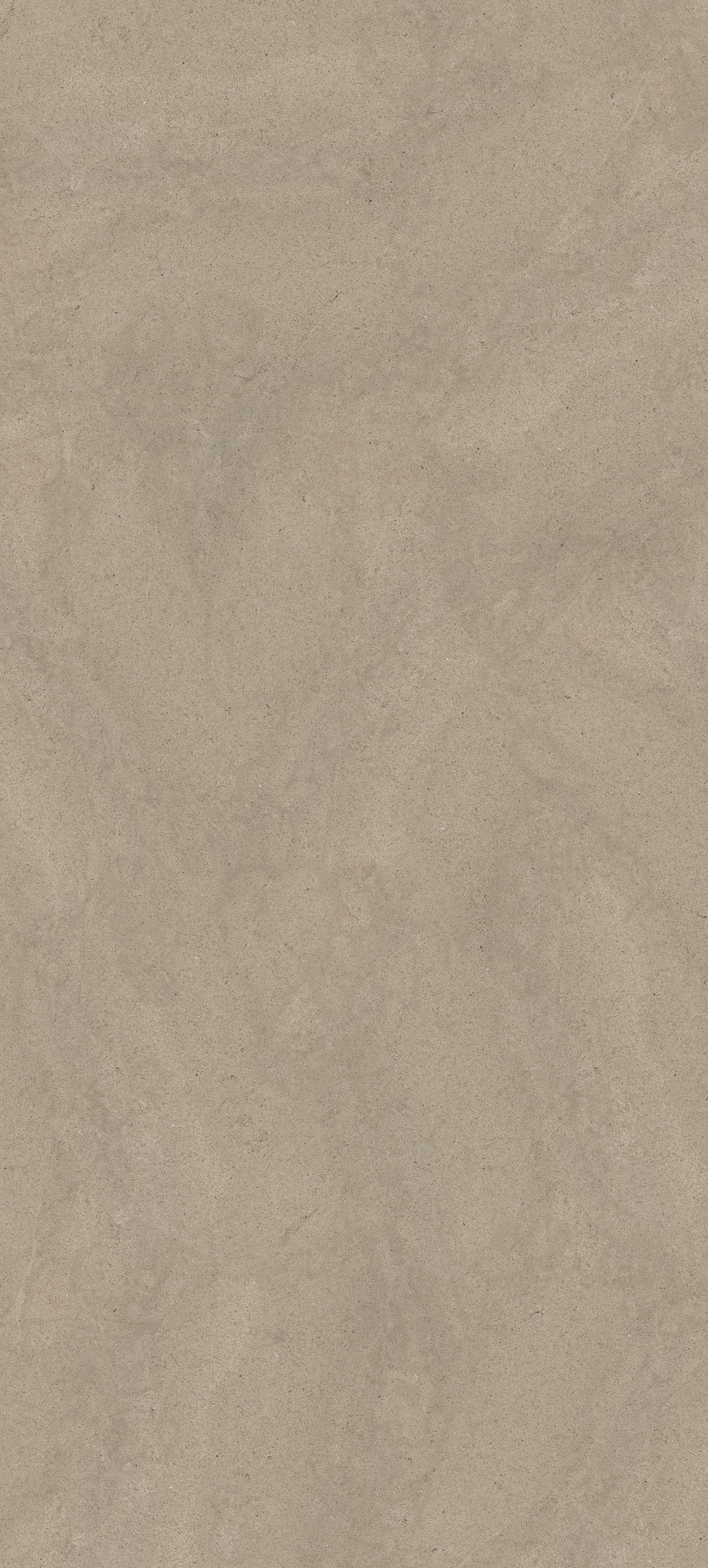 Taupe Dust 120x280