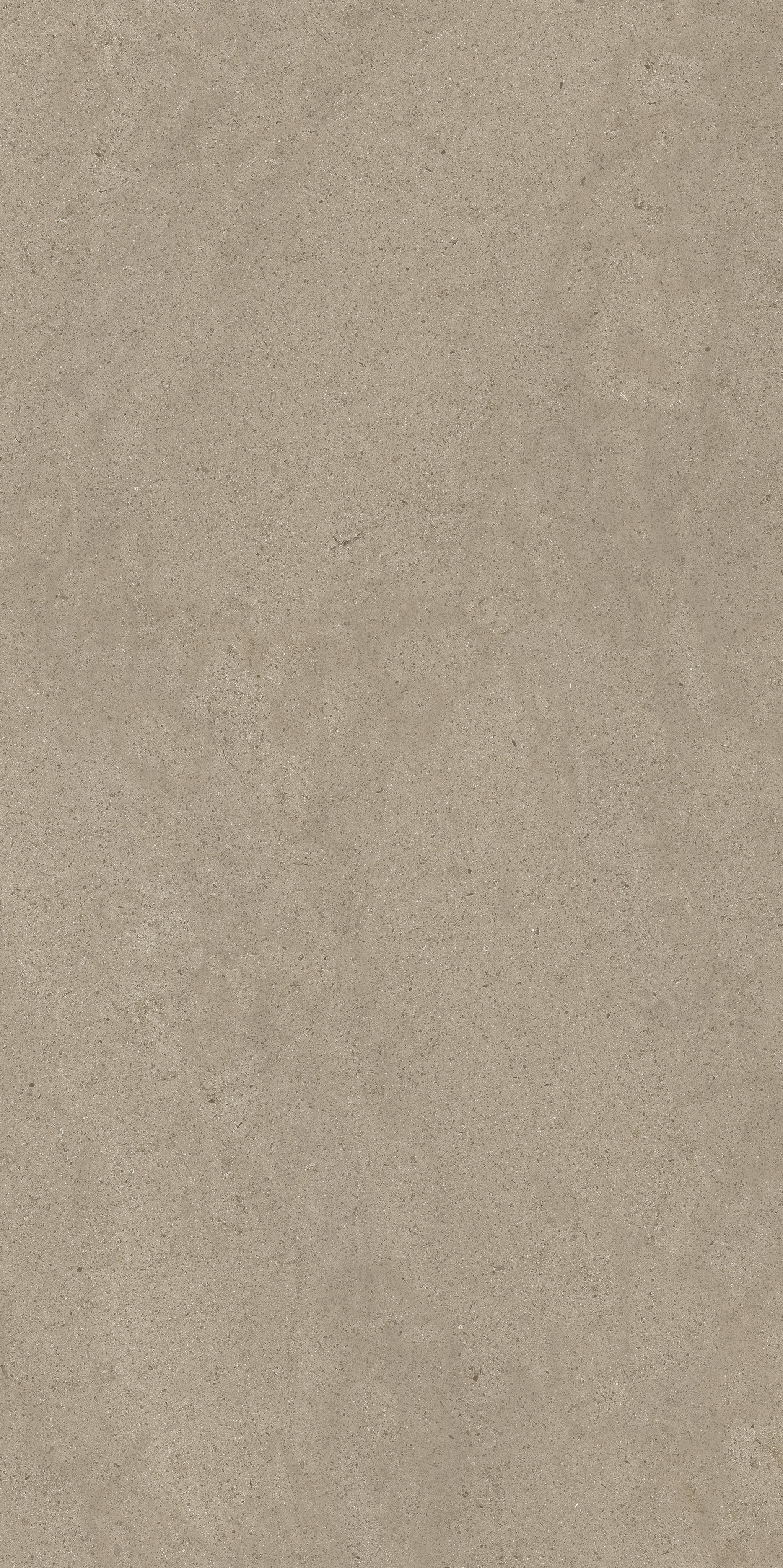 Taupe Dust 60x120 9 мм