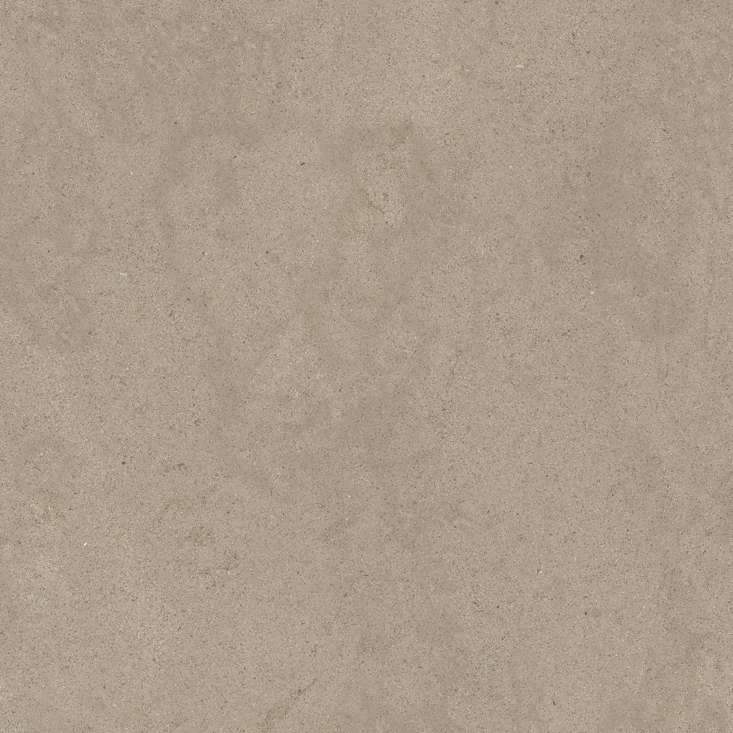 Taupe Dust 80x80