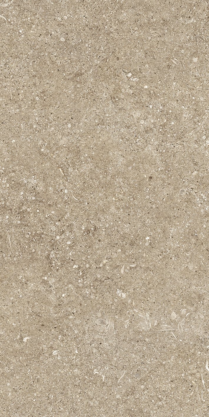 Керамогранит Taupe Fossil 40x80 арт. 768348 40×80 см - коллекция Sensi, Florim