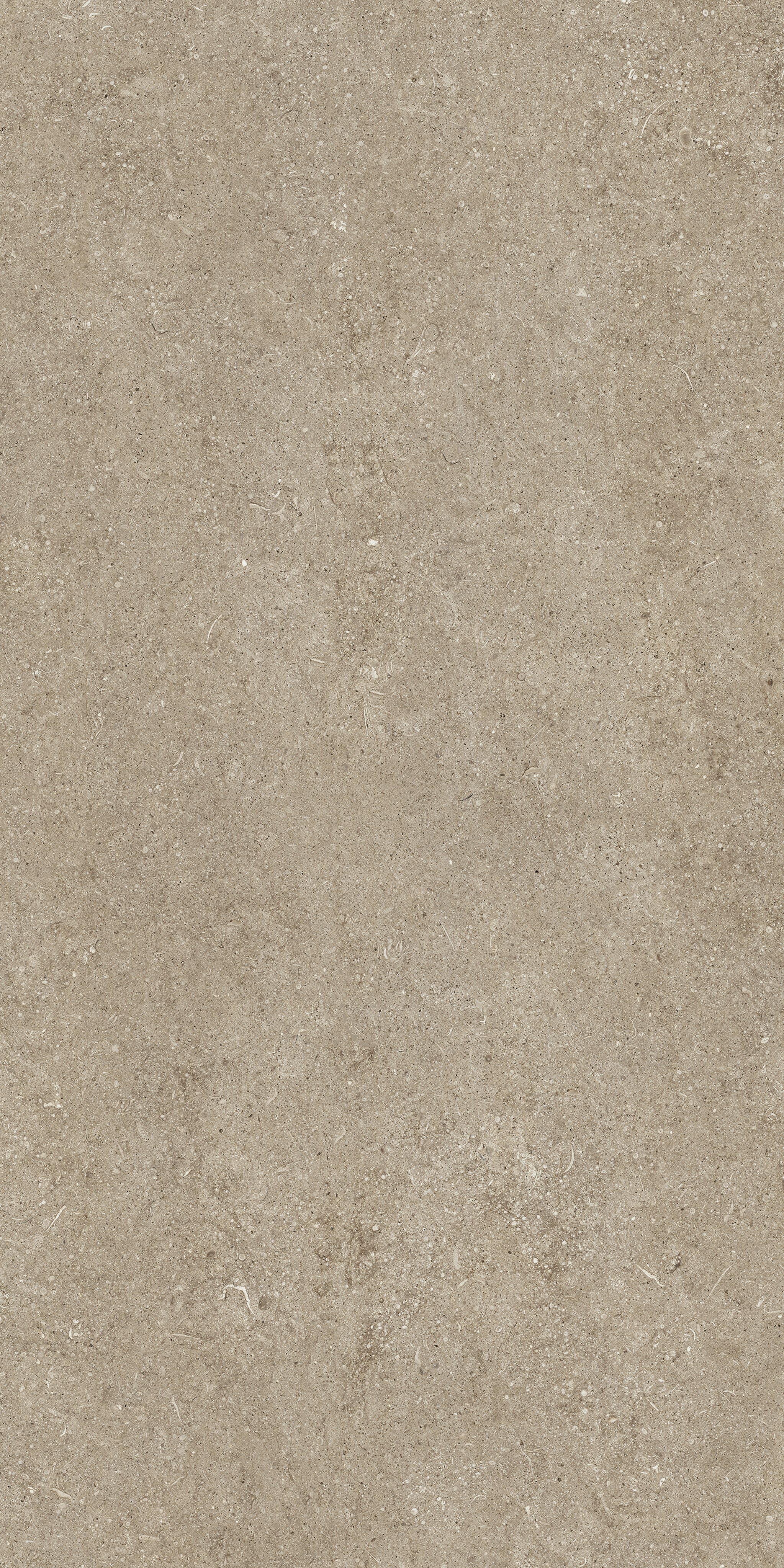 Taupe Fossil 60x120 9 мм арт. 768322