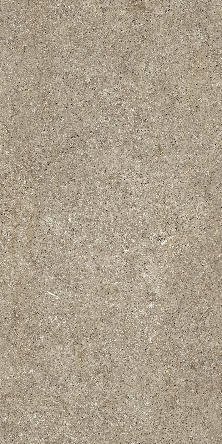 Taupe Fossil 60x120 6 мм арт. 768623