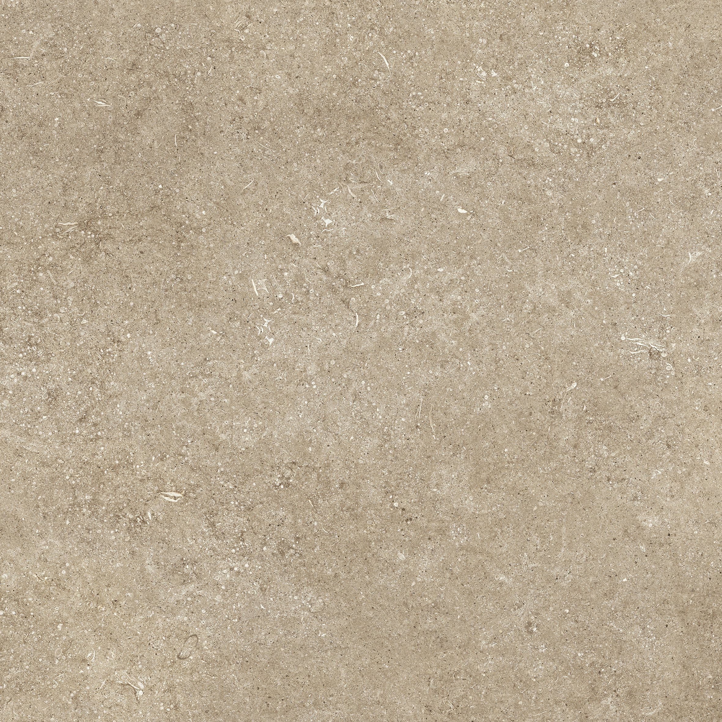 Taupe Fossil 80x80 арт. 768374