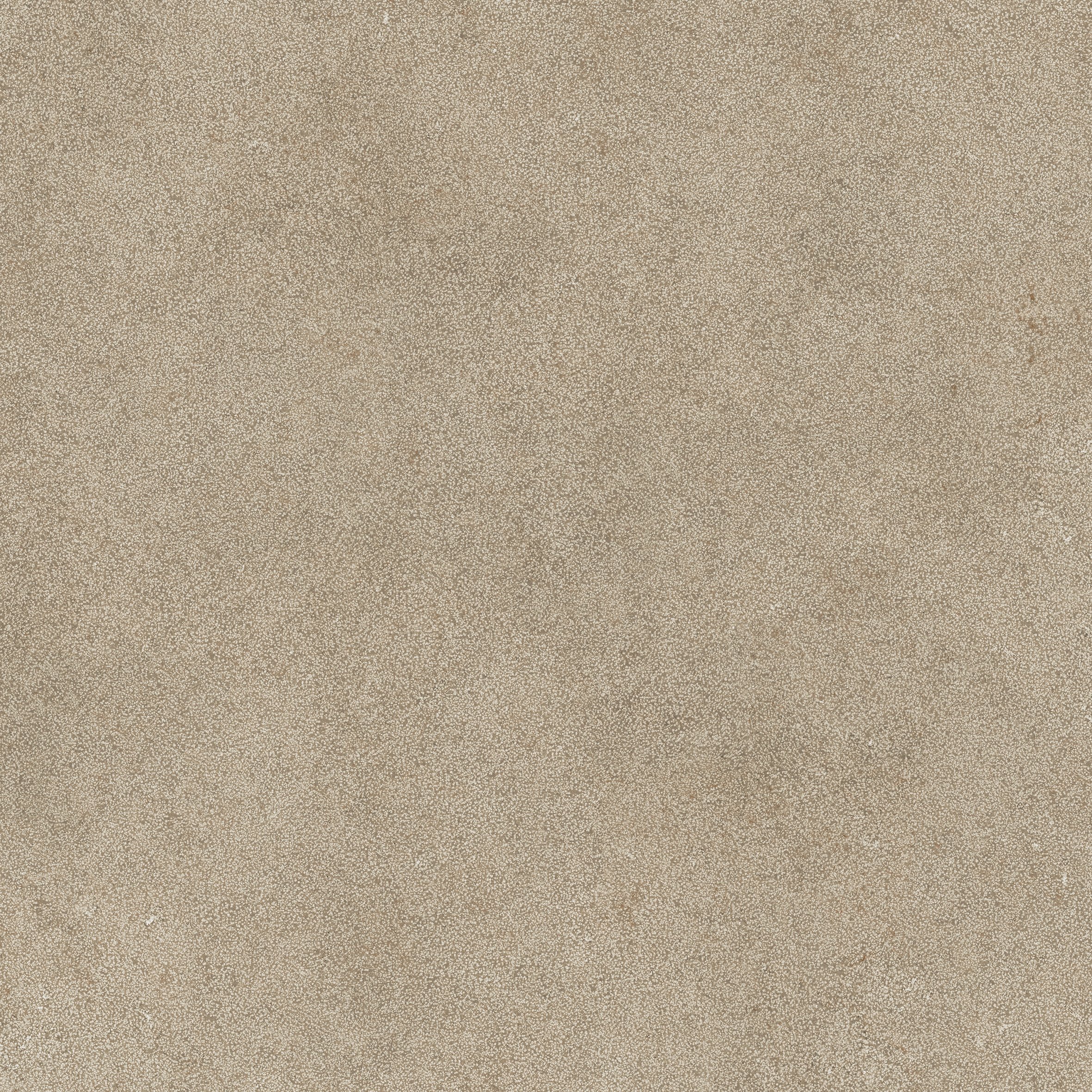 Taupe Lithos 120x120