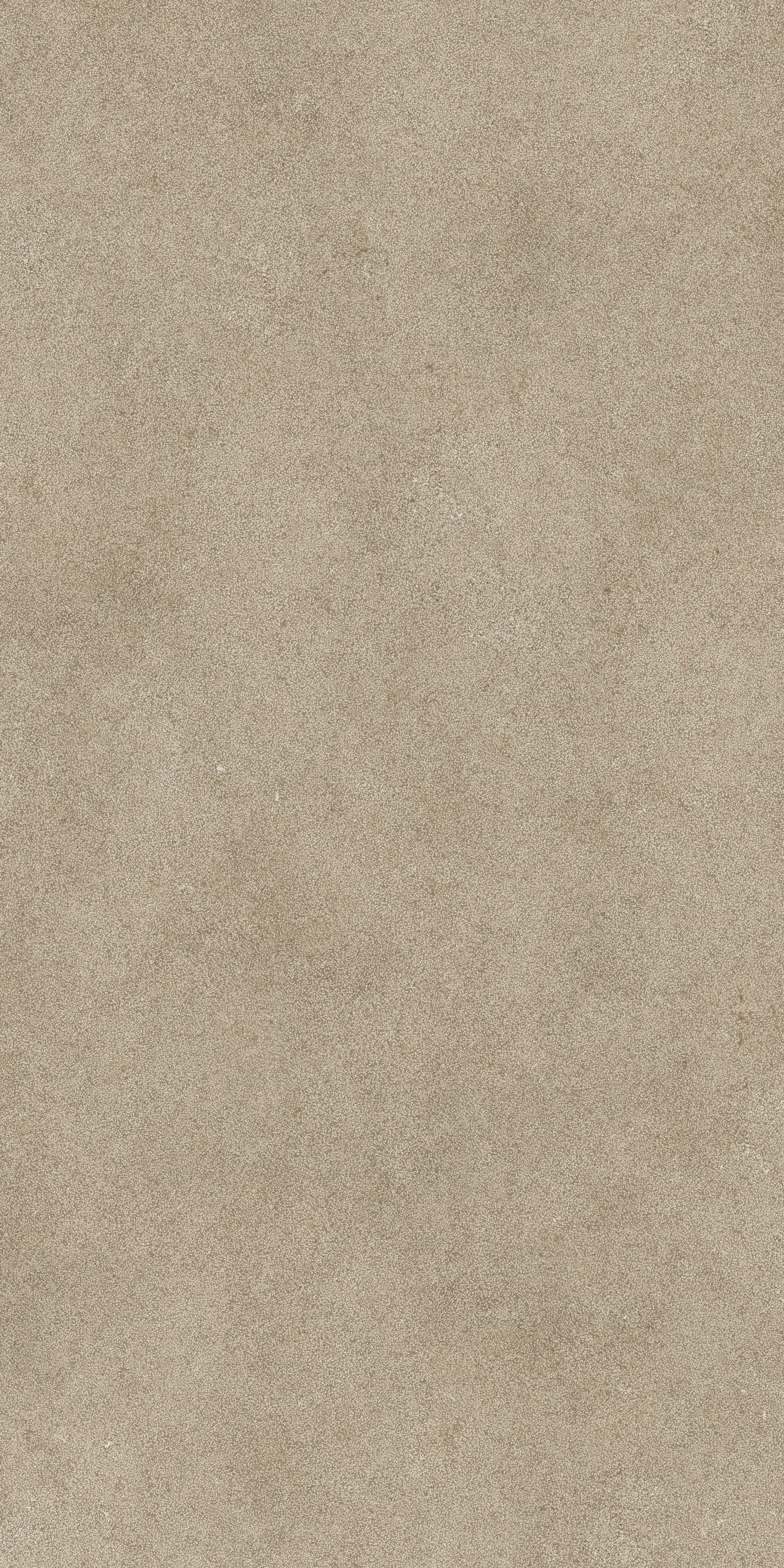 Taupe Lithos 120x240