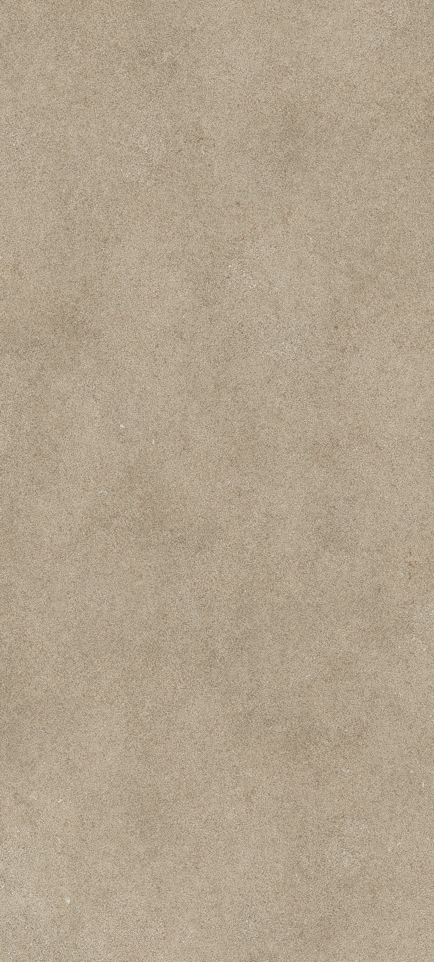 Taupe Lithos 120x280