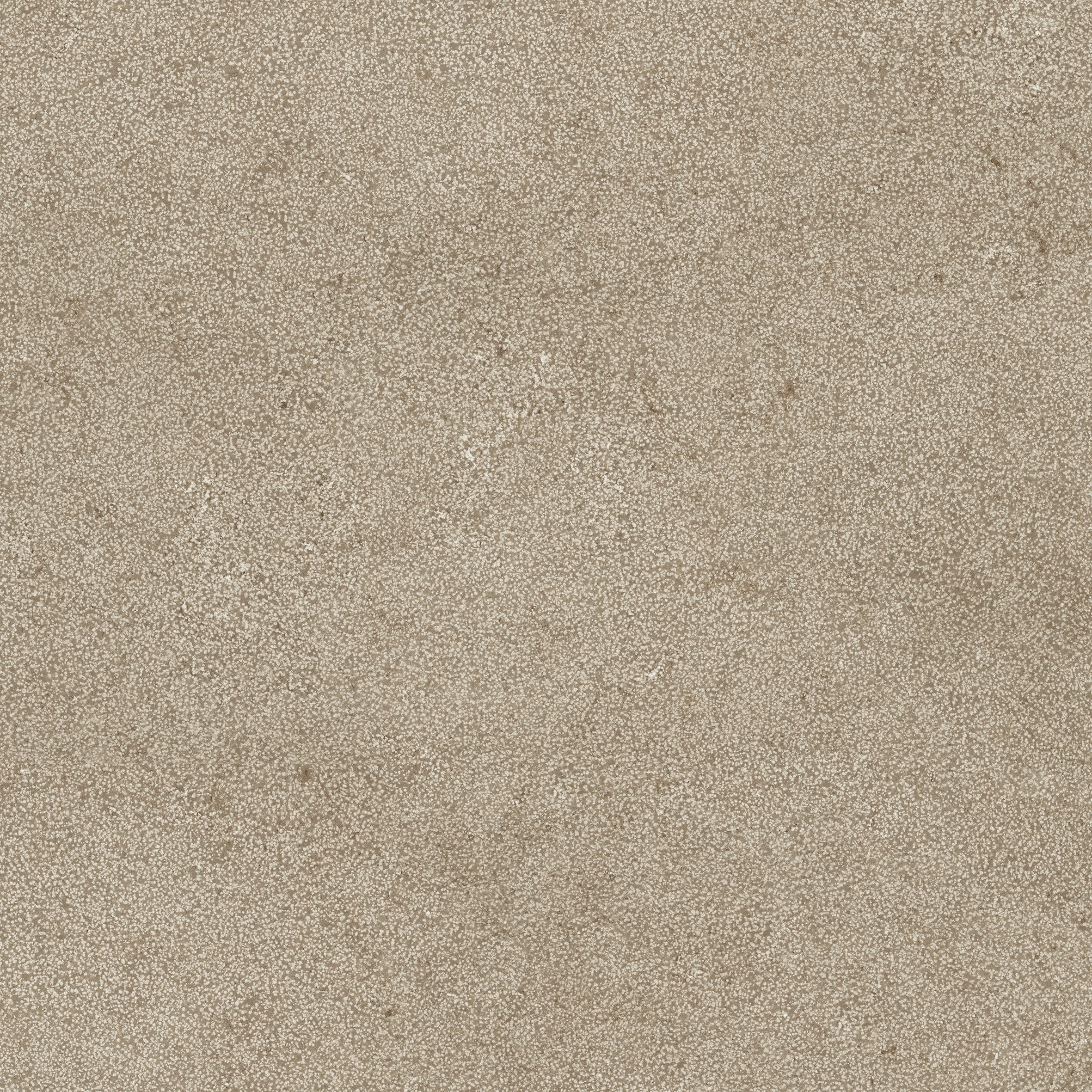 Taupe Lithos 80x80
