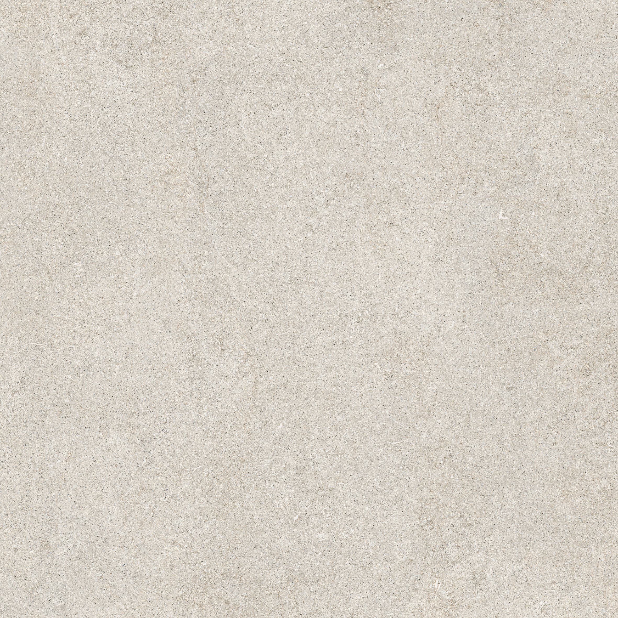 White Fossil 120x120