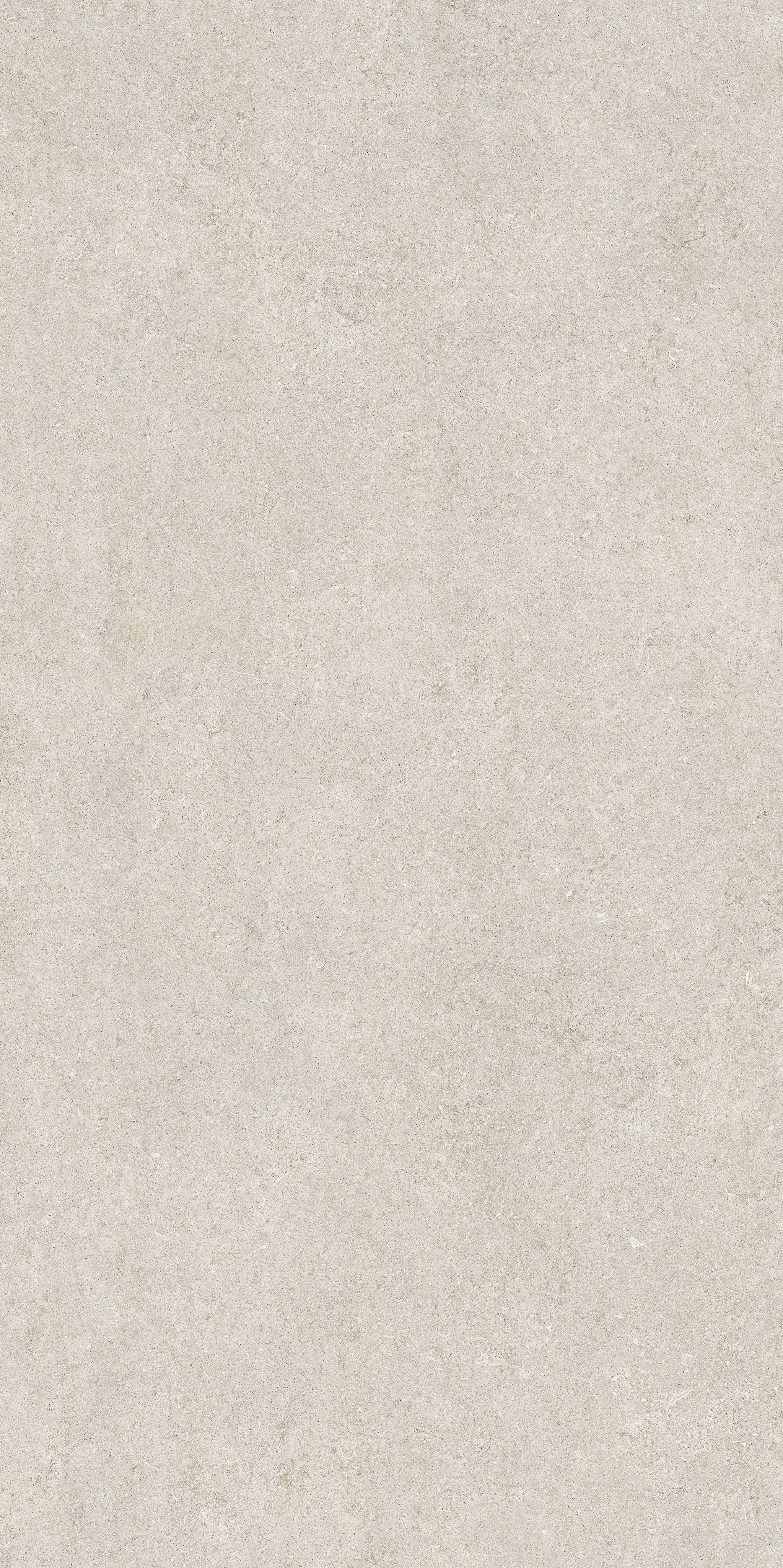 White Fossil 120x240